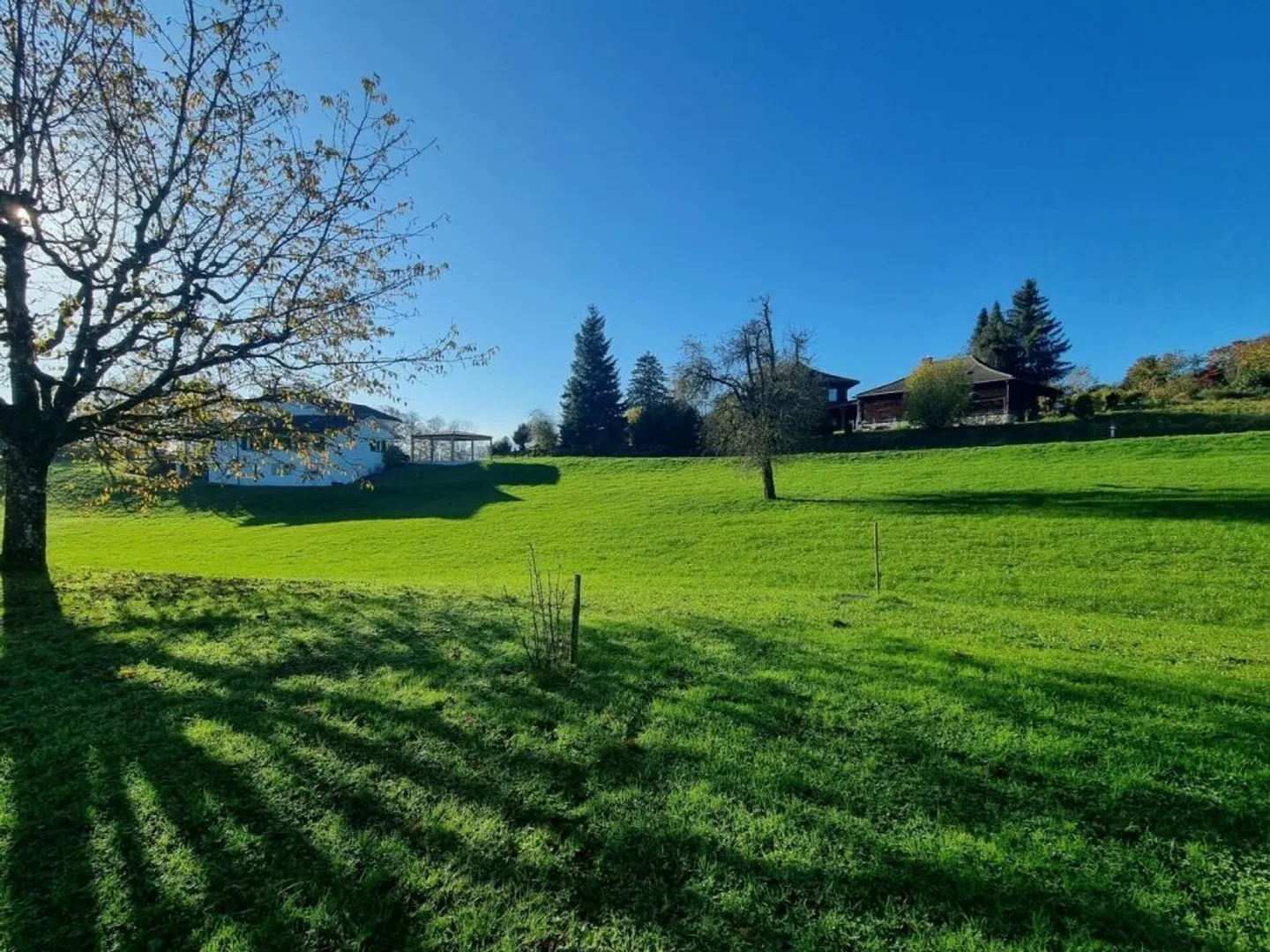 Detached house in a quiet, sunny location in the popular Rotmonten quarter - Photo 5 of 17