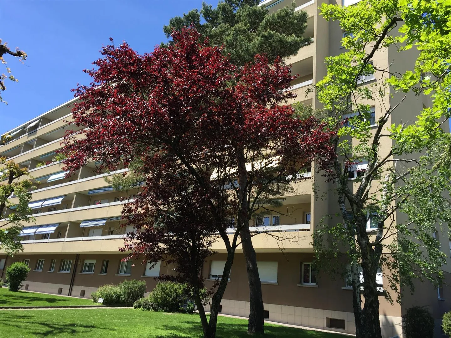 Appartamento 2.5 stanze - Foto 1 di 2