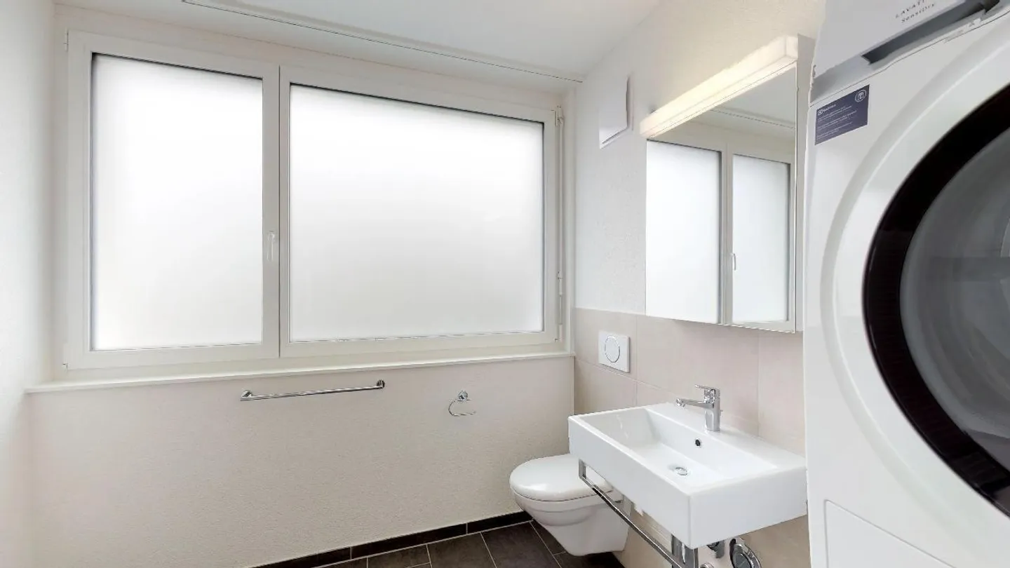 Blümlisalppark - Living space for you in Biberist - Photo 3 of 4