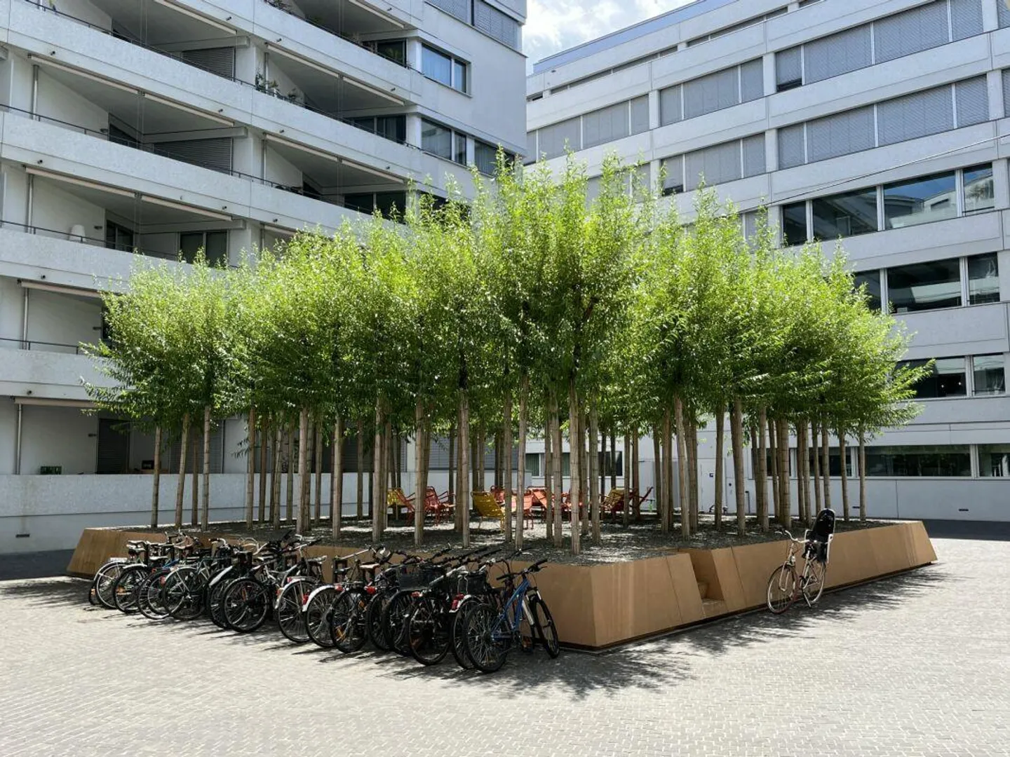 Appartamento 3.5 locali: Vivere moderno, urbano e al passo con i tempi! - Foto 2 di 10