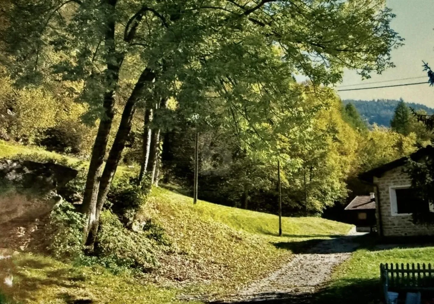 Sunny and Tranquil - Photo 2 of 3