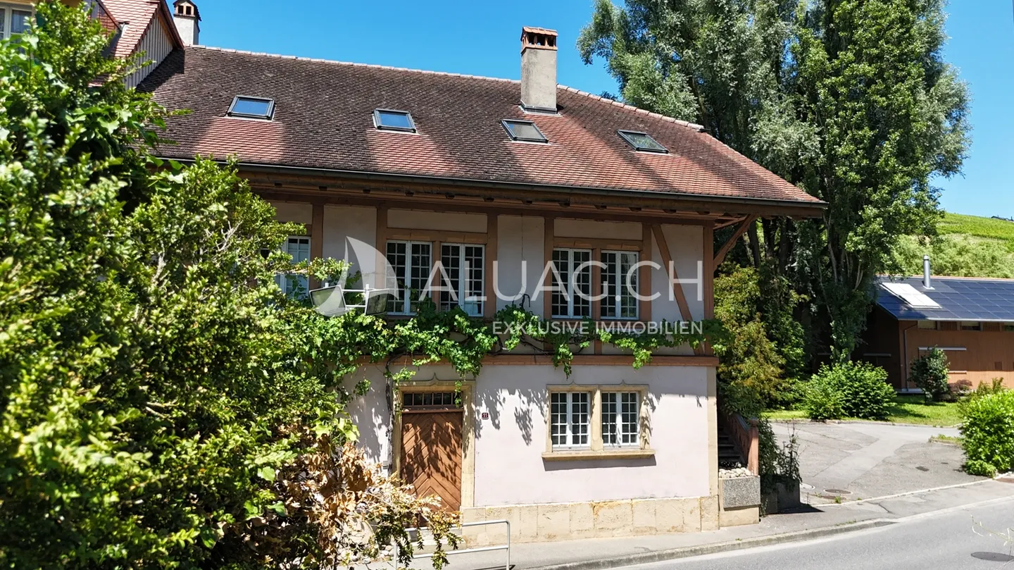 Unique Artist Residence by Lake Murten - Photo 10 of 12