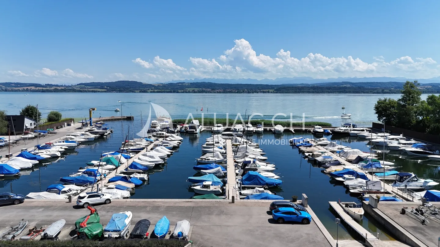 Unique Artist Residence by Lake Murten - Photo 11 of 12