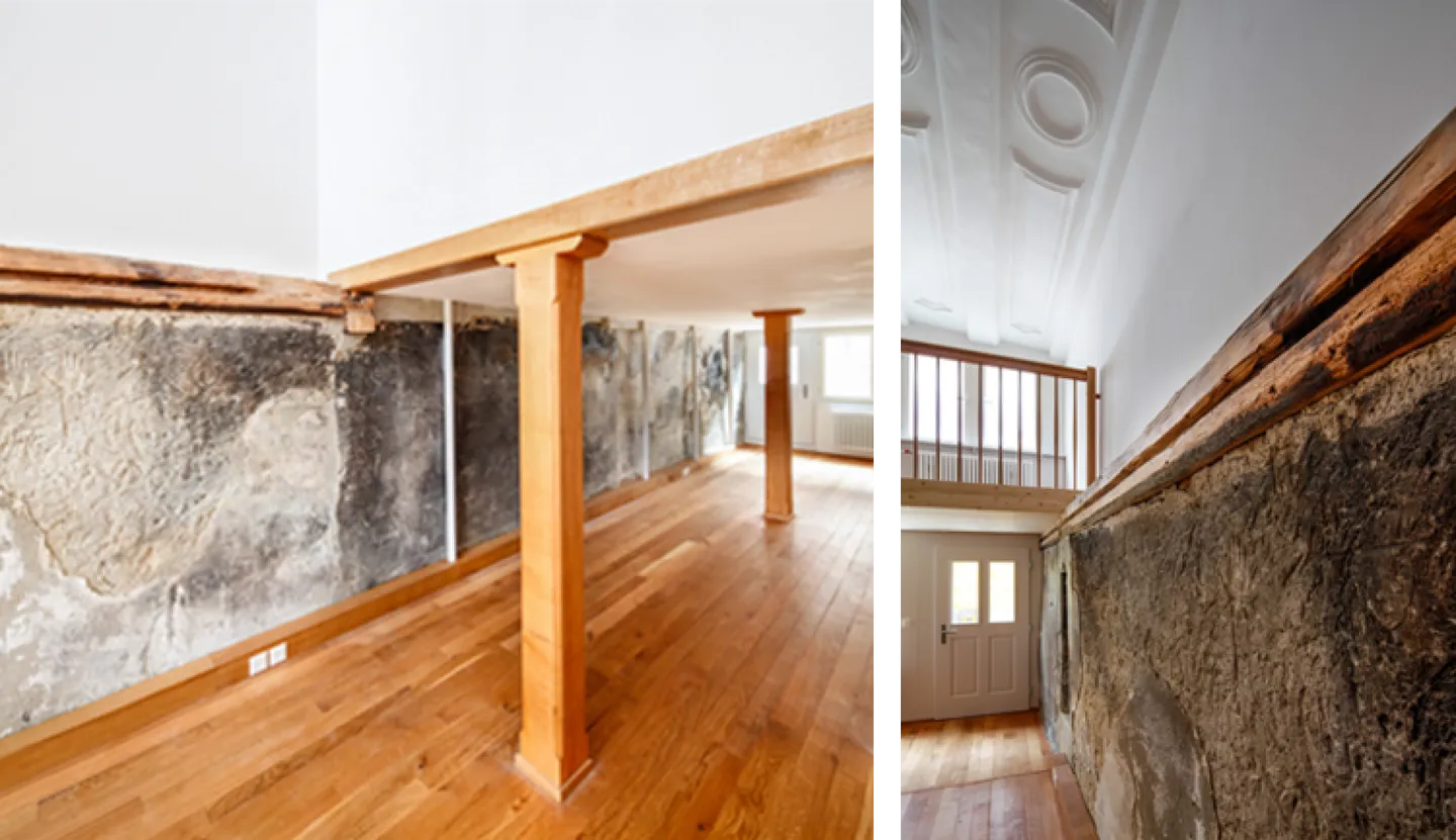 Steibi - Photo 2 of 9