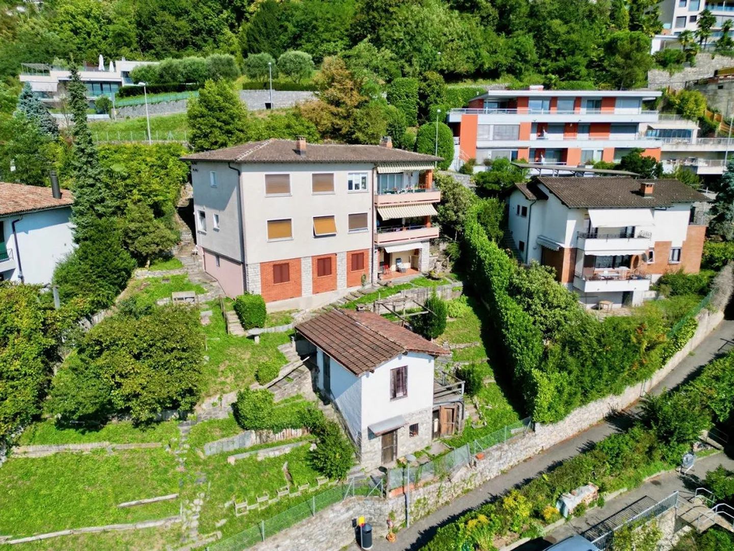 Propriété avec un Grand Potentiel Édificatoire sur le Monte Brè - Photo 4 sur 5