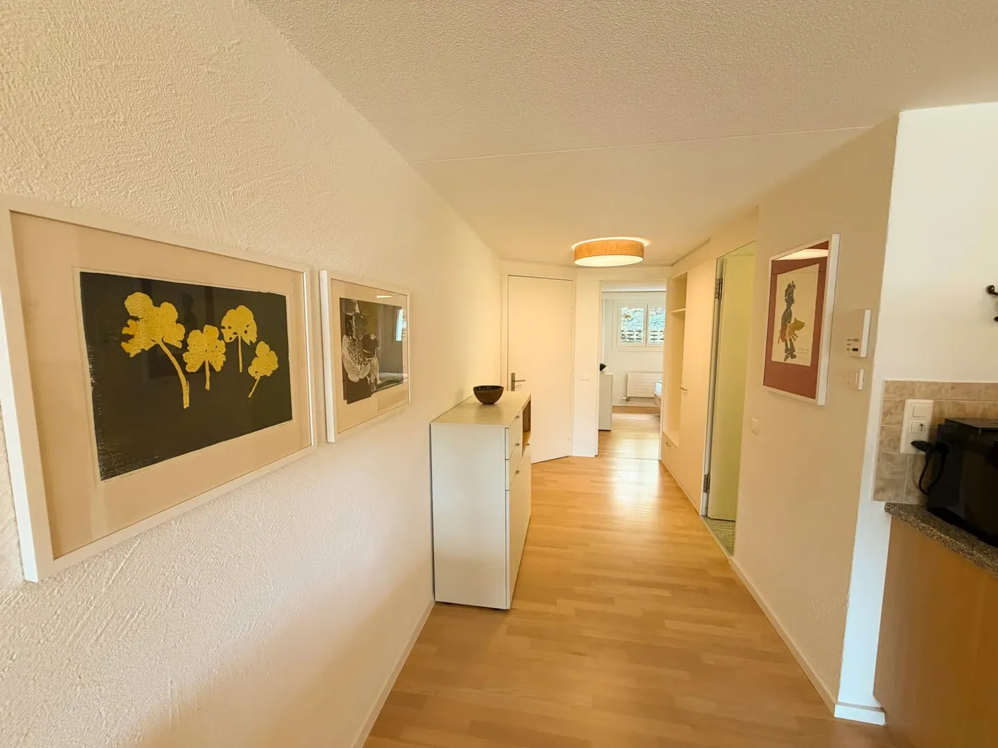 Incantevole appartamento con 2 camere da letto con terrazza e vista mozzafiato nel villaggio di Flims - Foto 4 di 18
