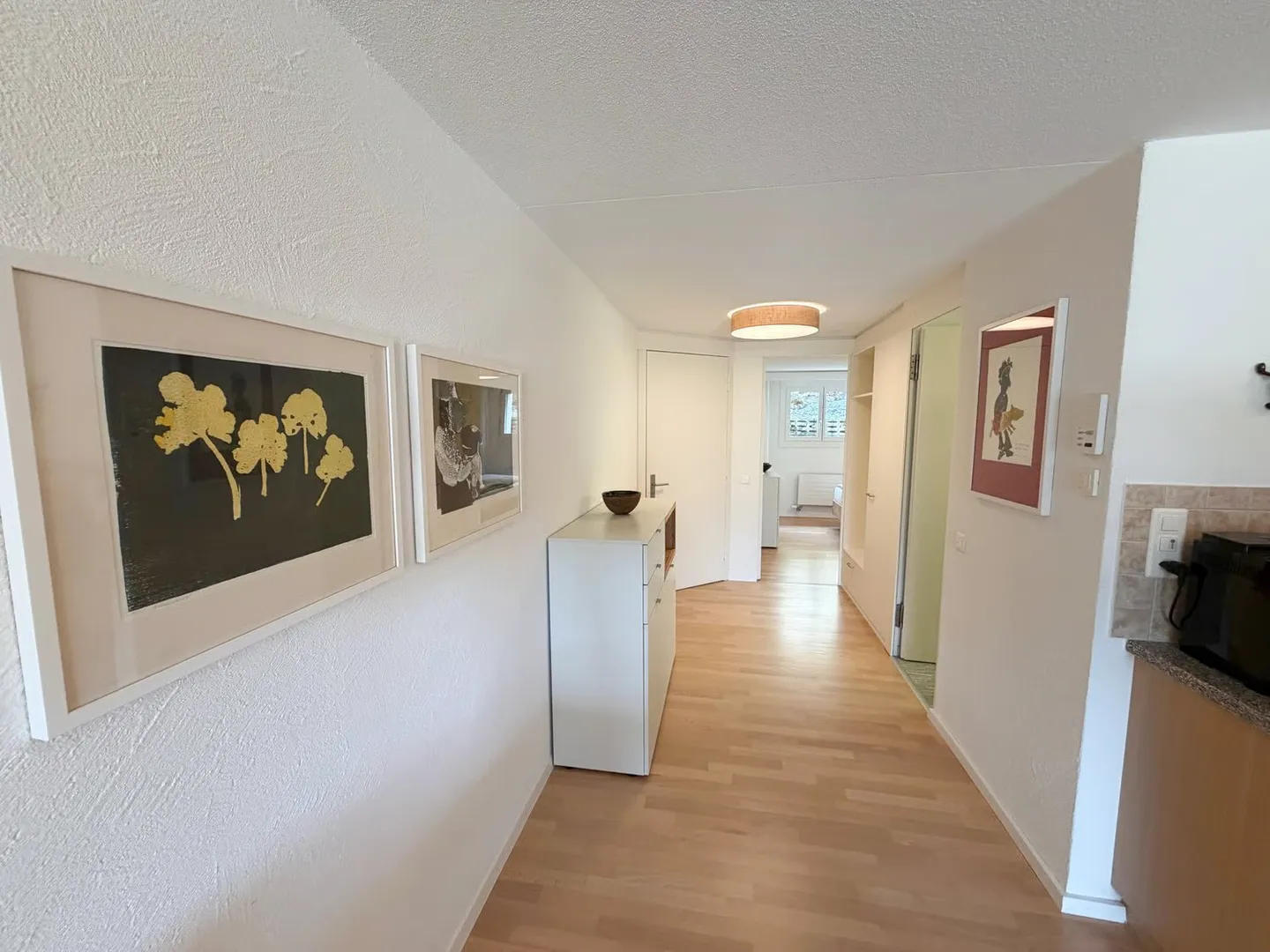 Incantevole appartamento con 2 camere da letto con terrazza e vista mozzafiato nel villaggio di Flims - Foto 8 di 18