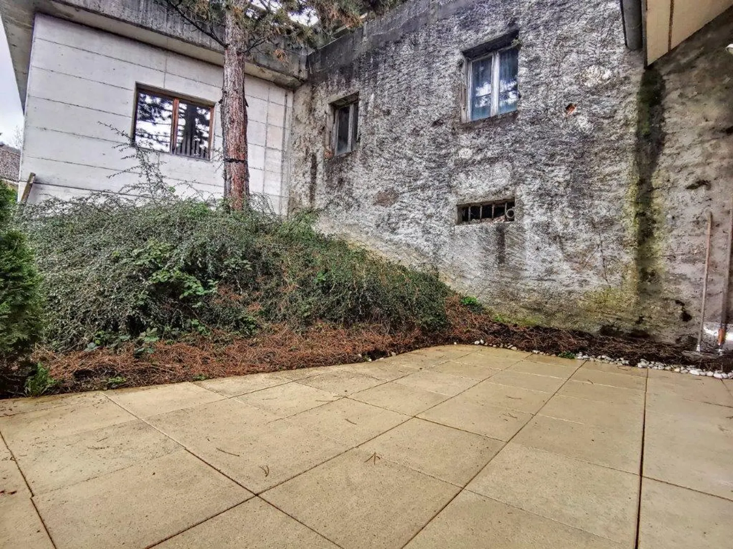 3.5 Room Apartment - Photo 3 of 11