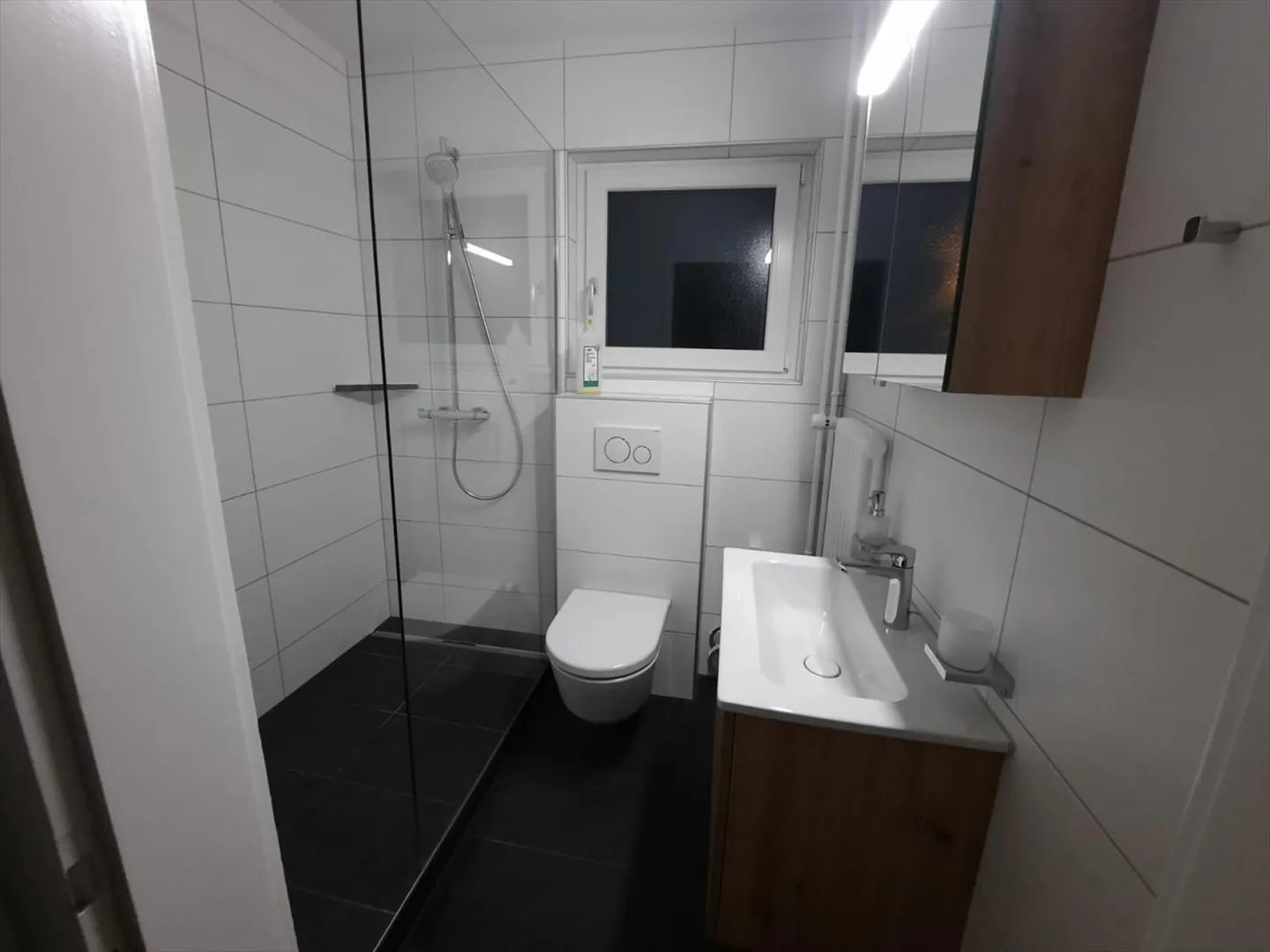 Immobile di investimento tranquillo - Foto 3 di 9