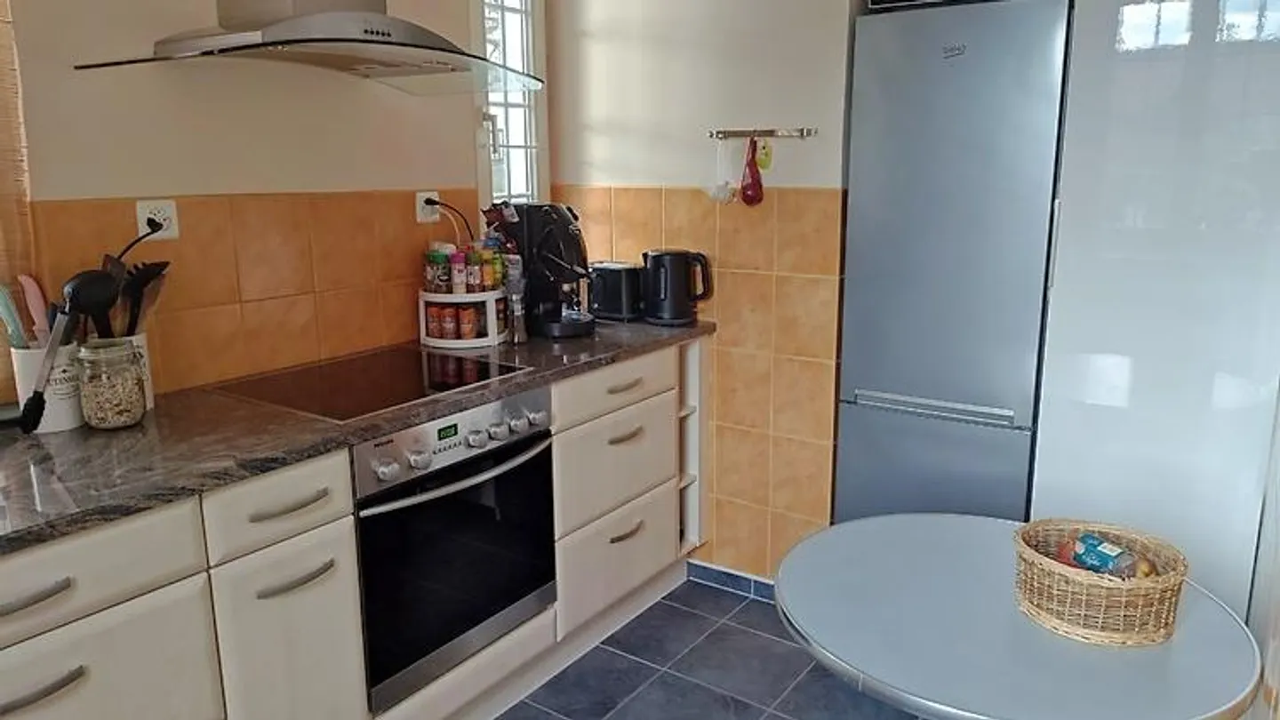 APPARTEMENT 3½ PIÈCES À RAFZ (ZH), MEUBLÉ, TEMPORAIRE - Photo 5 sur 10