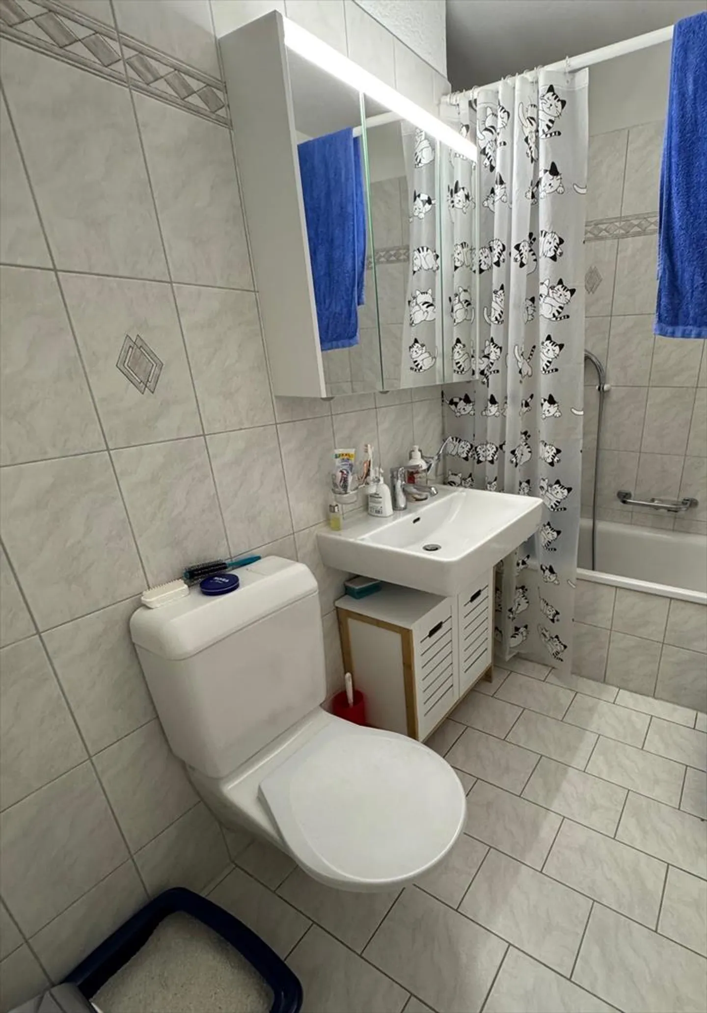 Appartamento da sogno di 4,5 stanze a Villmergen, Canton AG - Foto 7 di 11
