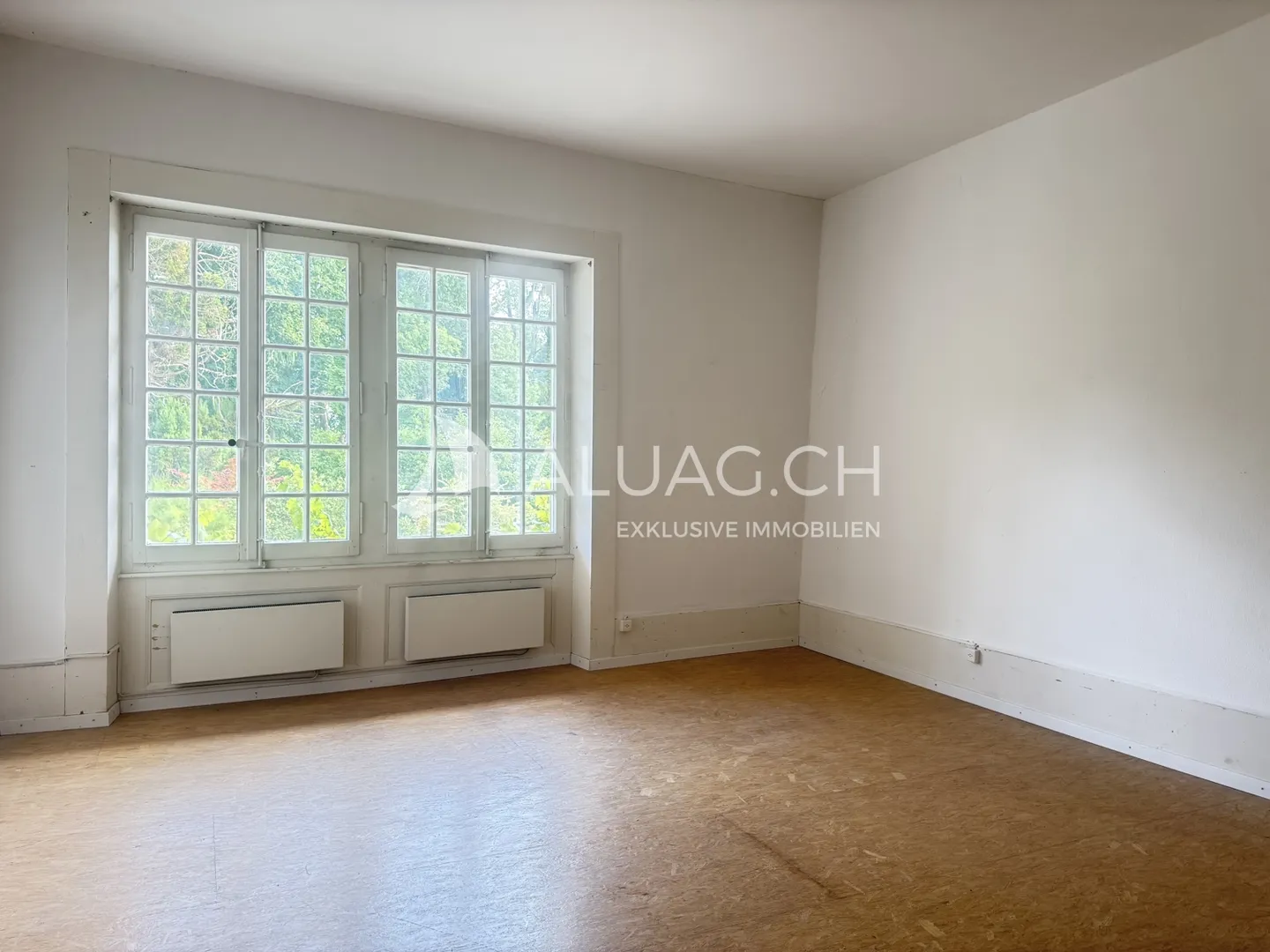 Unique Artist Residence by Lake Murten - Photo 3 of 12