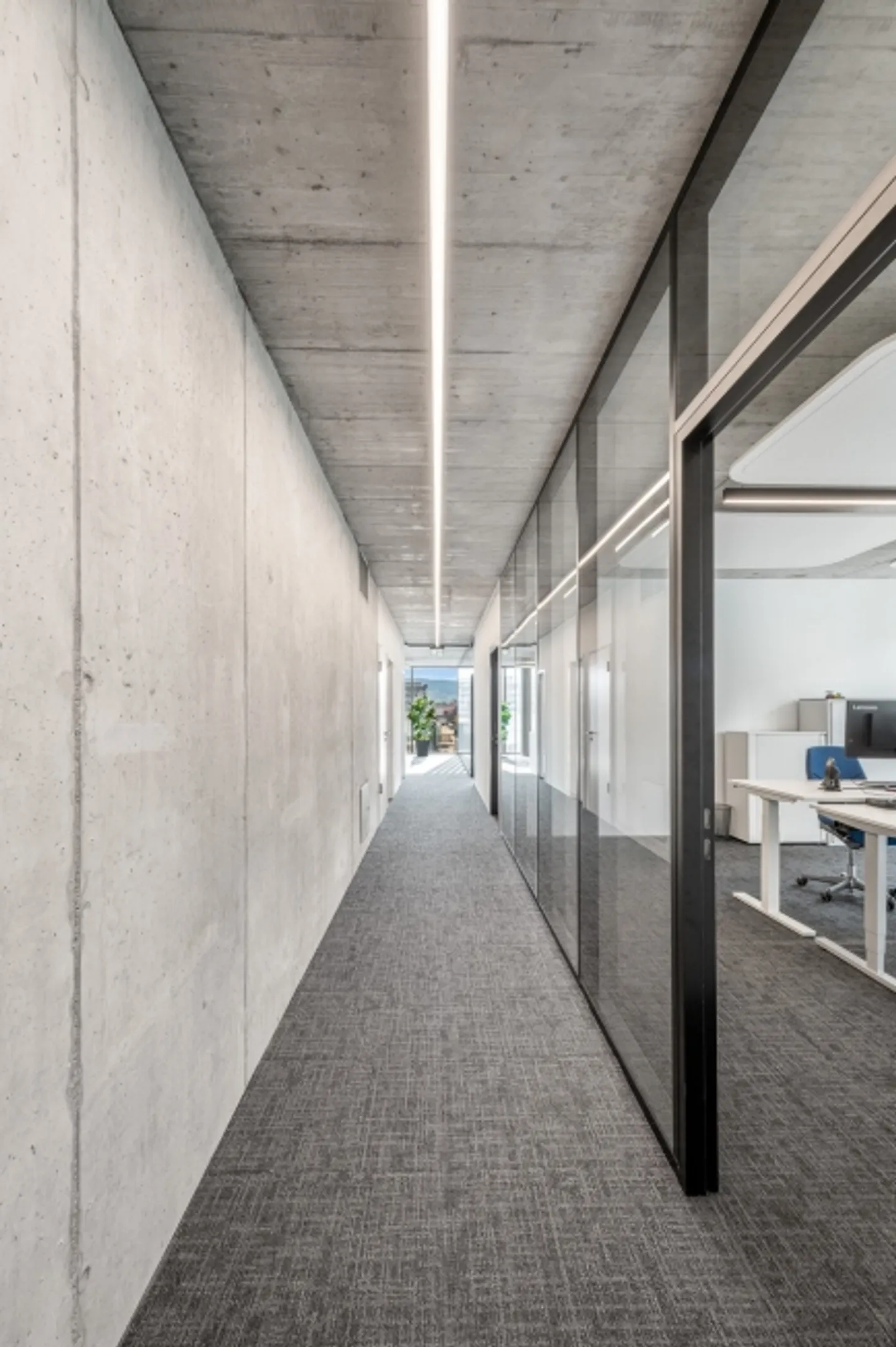 Commercial for rent, Wiesenstrasse 19 (Schlieren, Switzerland) - Photo 12 of 13