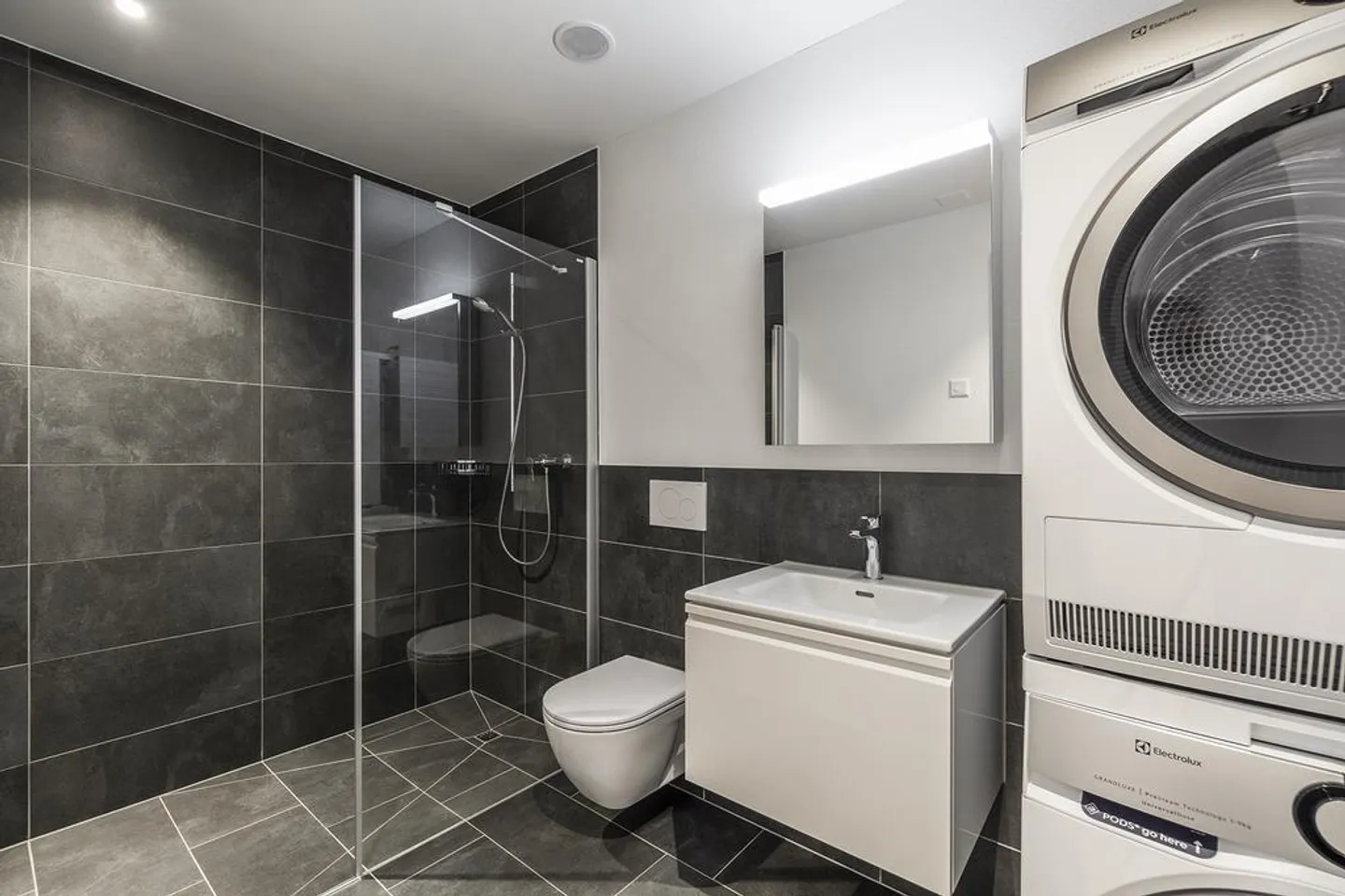 Living with a View: Cozy Apartment with a View of Lake Constance - Photo 7 of 8