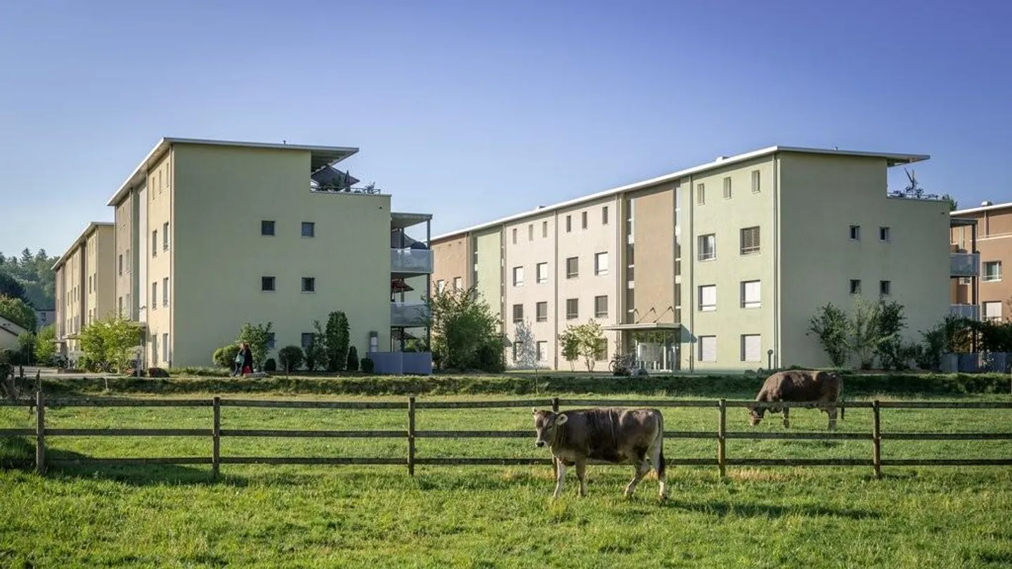 AFFITTARE SENZA CAUZIONE - Tornare a casa e sentirsi bene - Foto 2 di 7