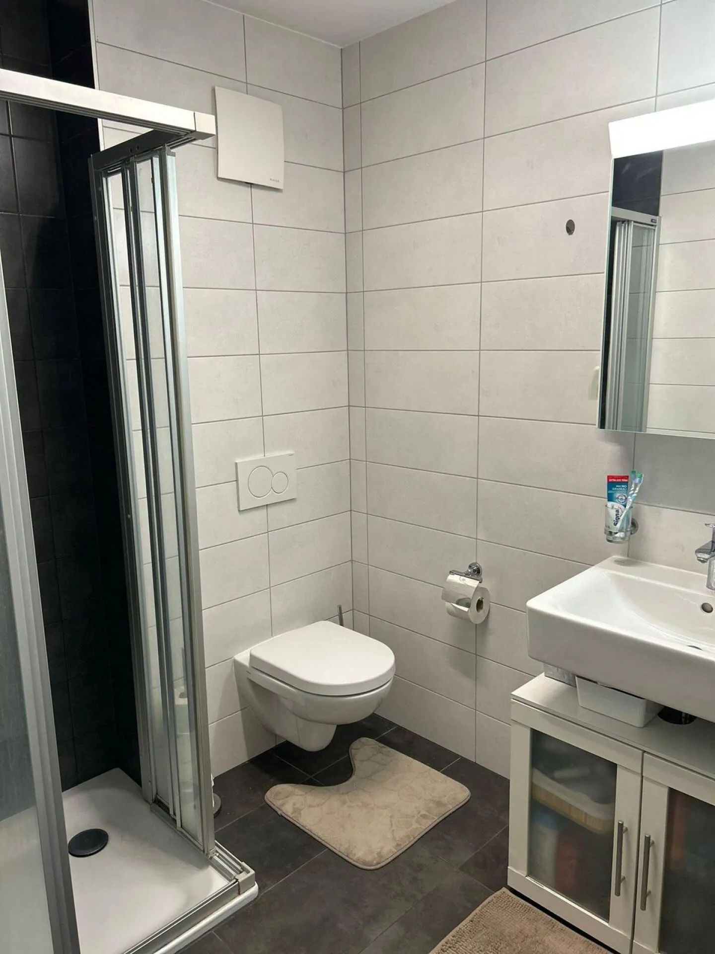 Freiraum und nach Süden ausgerichtete Orientierung für diese wunderschöne 2,5-Zimmer-Wohnung - Foto 7 von 11