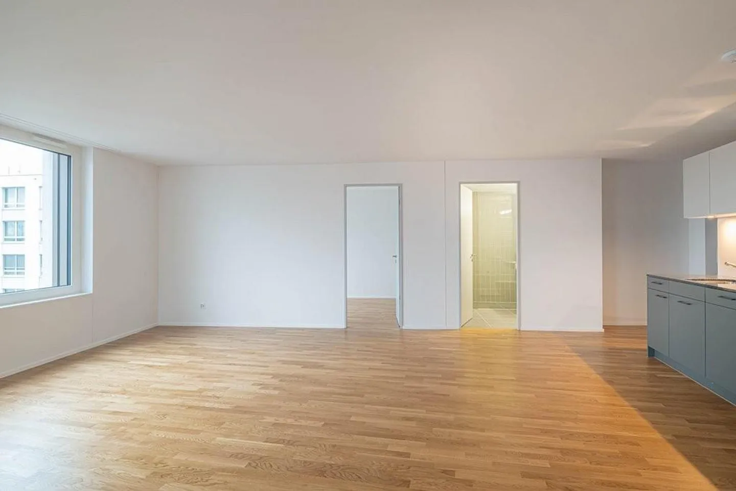 RENT WITHOUT DEPOSIT - Your new home near Rhine Falls - Photo 4 of 9