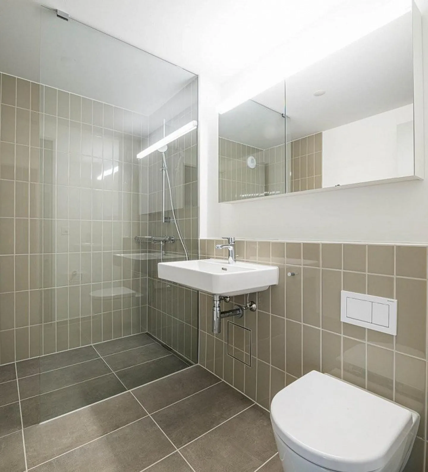 RENT WITHOUT DEPOSIT - Your new home near Rhine Falls - Photo 5 of 9
