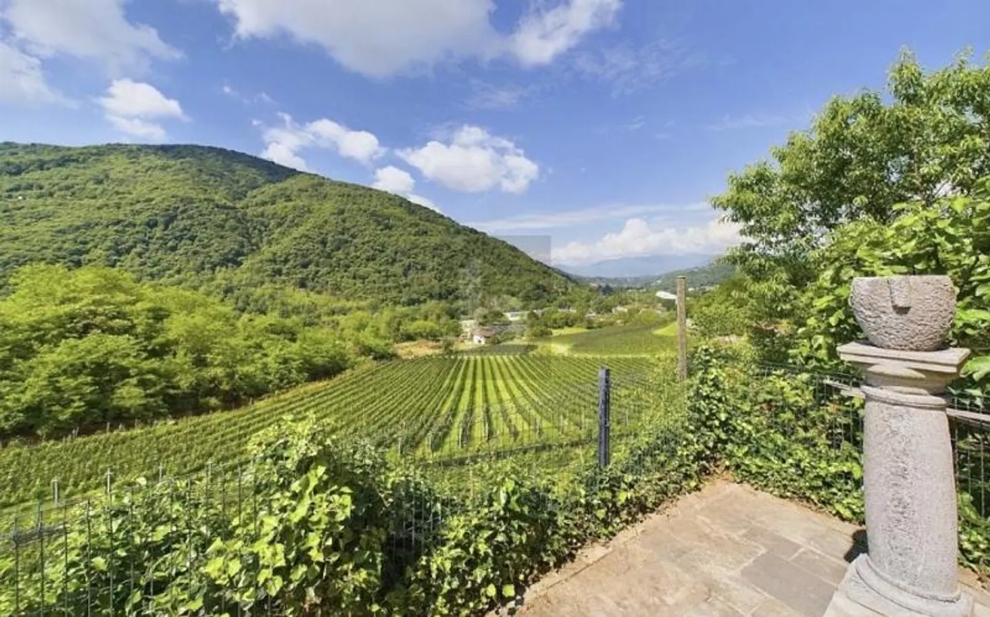 Very Bright with Large Land - Photo 1 of 6