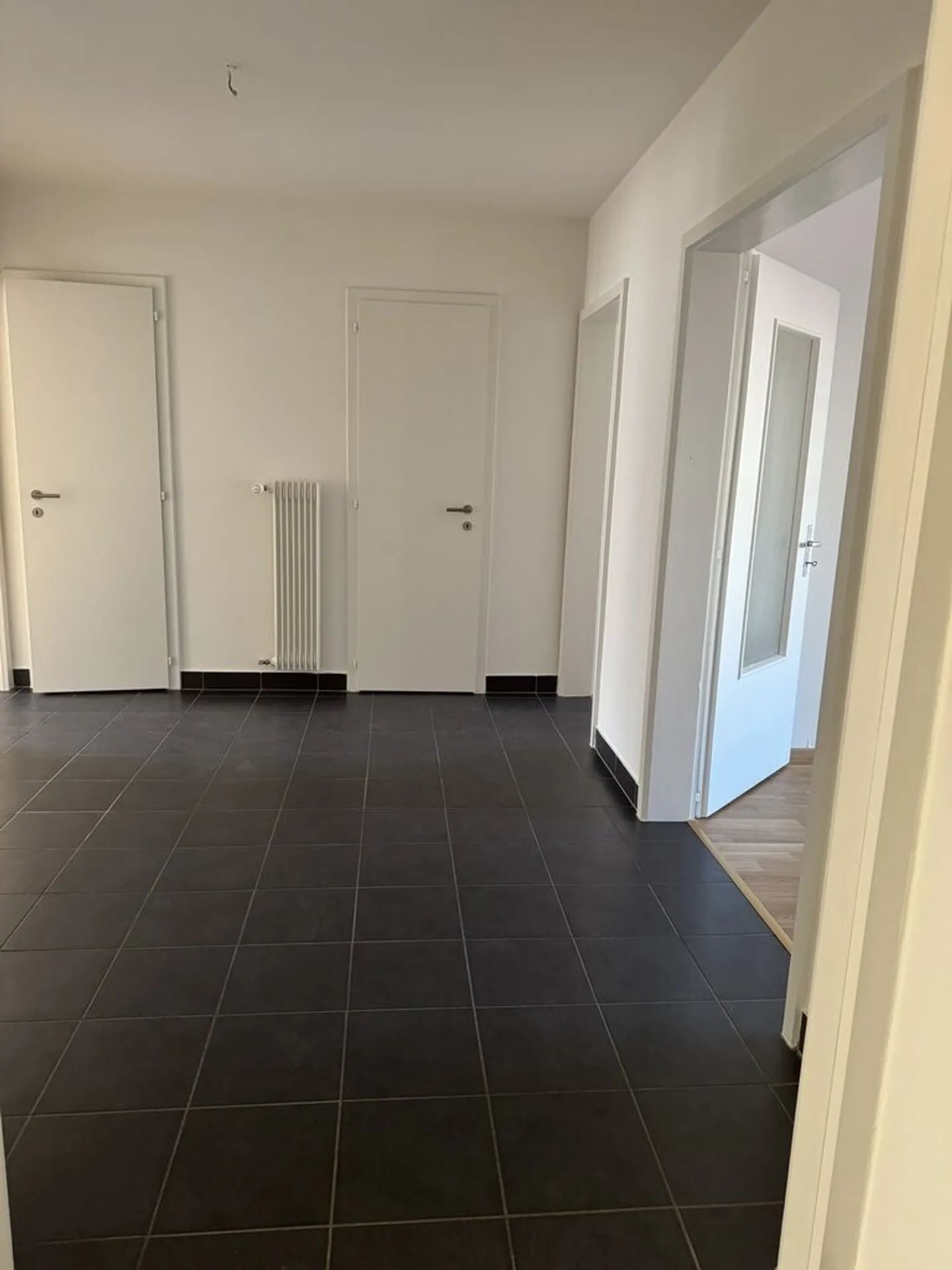 Bellissimo appartamento ristrutturato ad Aigle - Foto 4 di 10