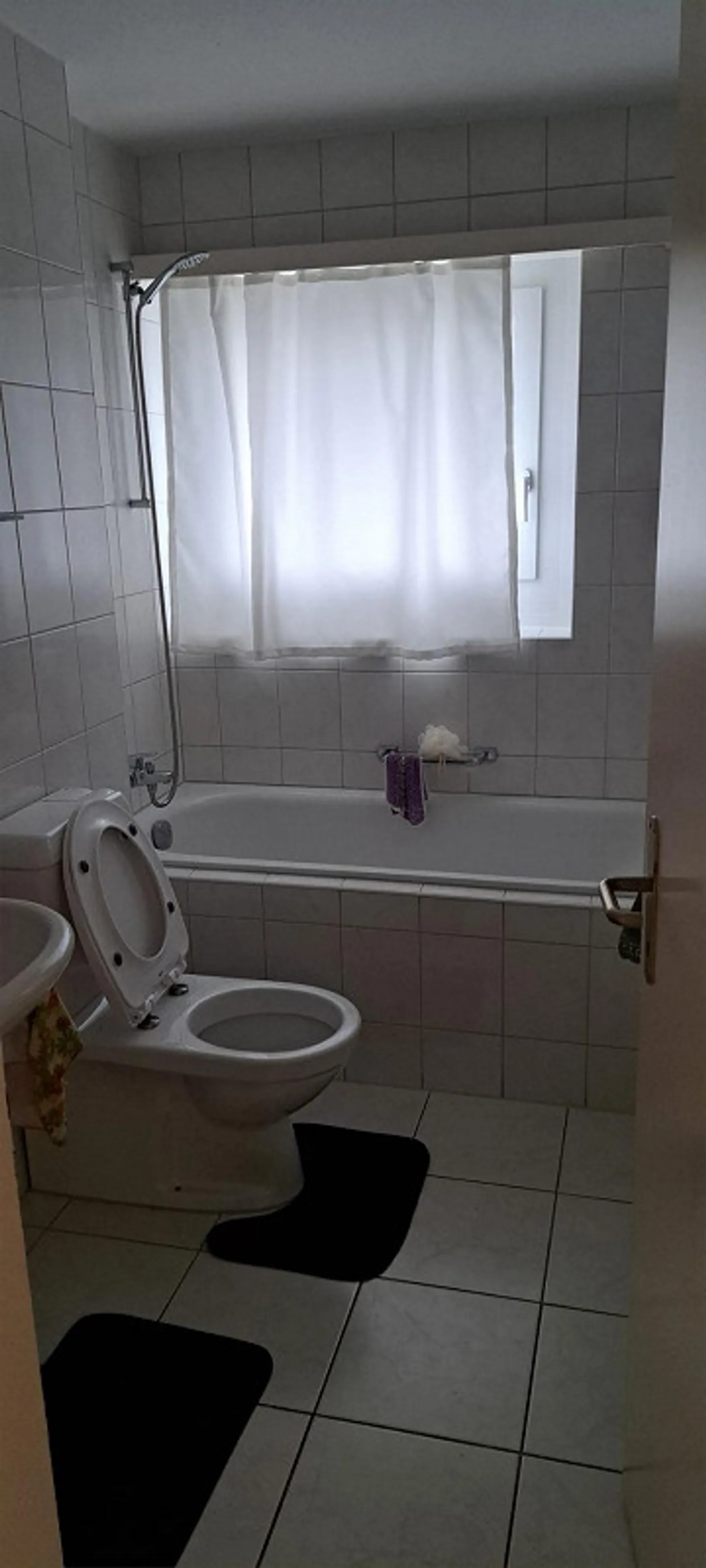 Apartment in Egnach - Photo 4 of 16