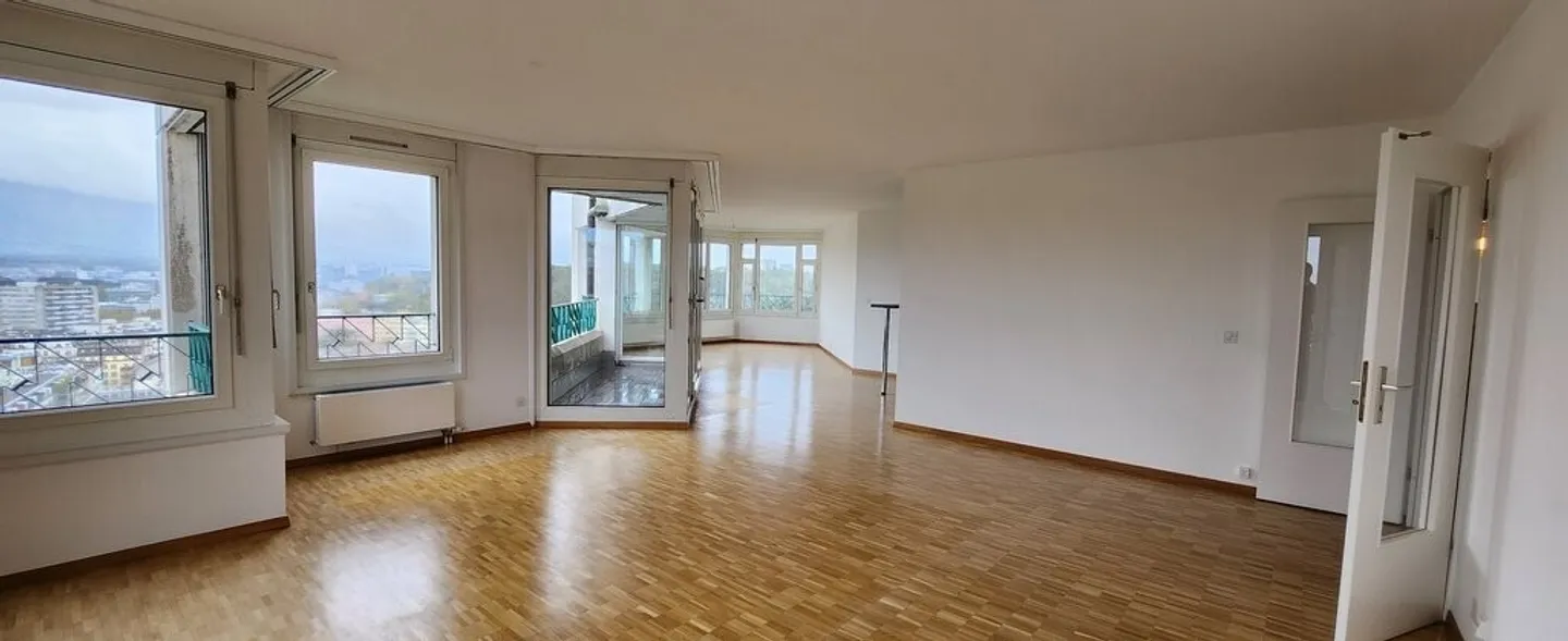 Magnificent apartment with stunning view of the Rhône - Photo 4 of 11