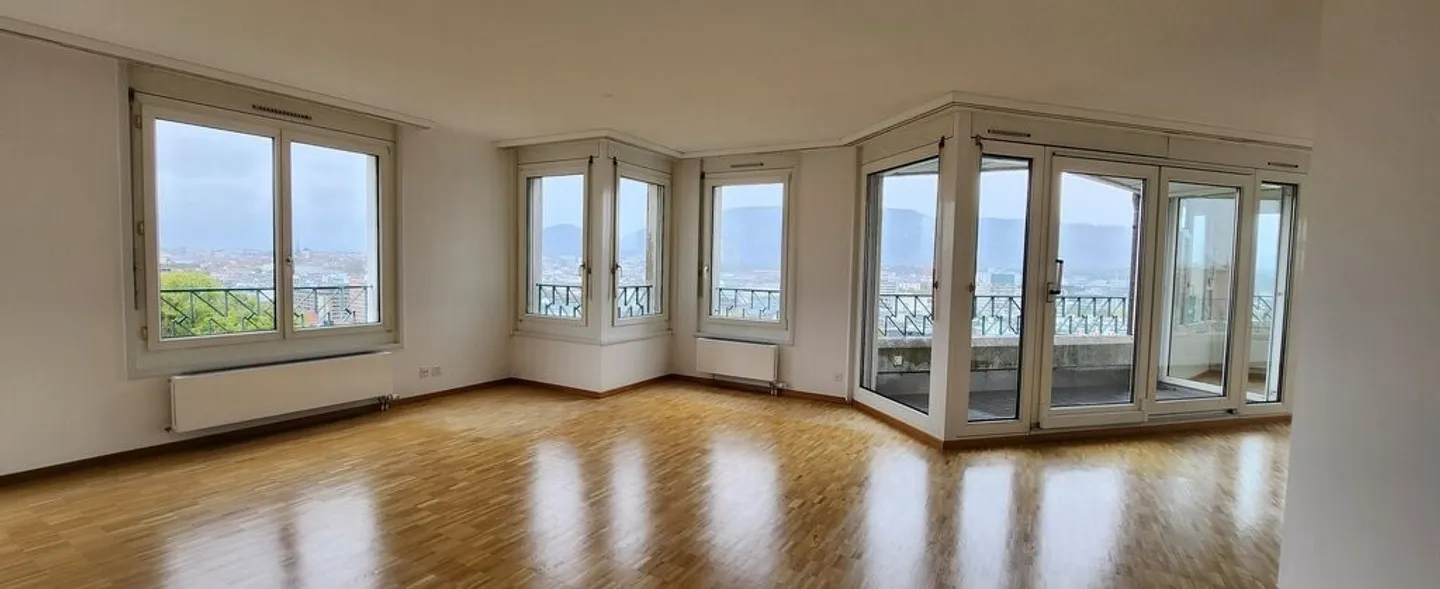 Magnificent apartment with stunning view of the Rhône - Photo 5 of 11