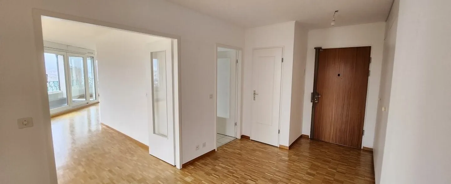 Magnificent apartment with stunning view of the Rhône - Photo 7 of 11