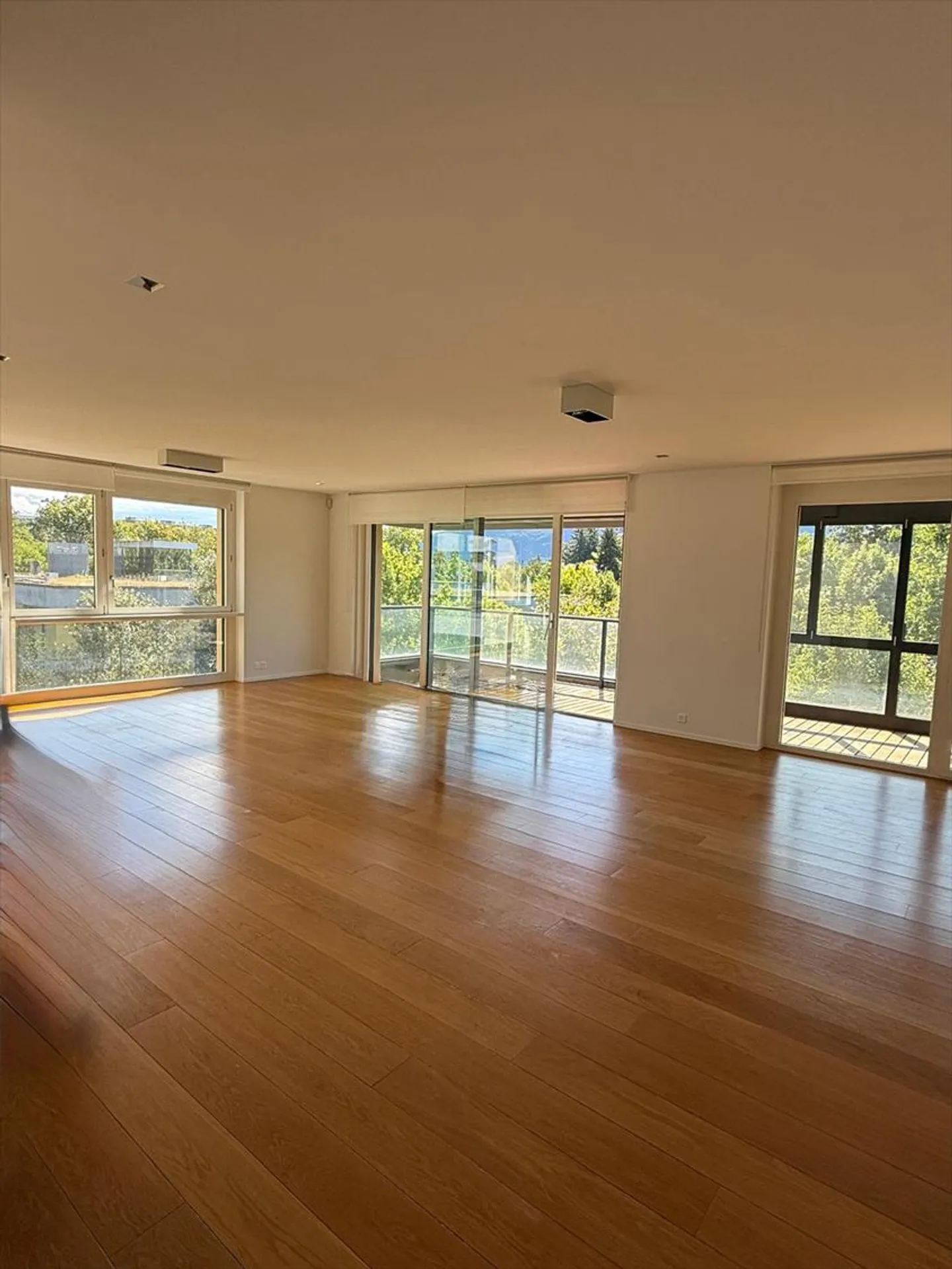 5-Zimmer-Wohnung - Foto 5 von 9