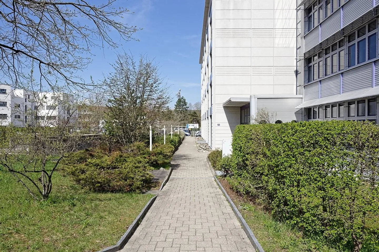 Geschäft mieten - Foto 6 von 11