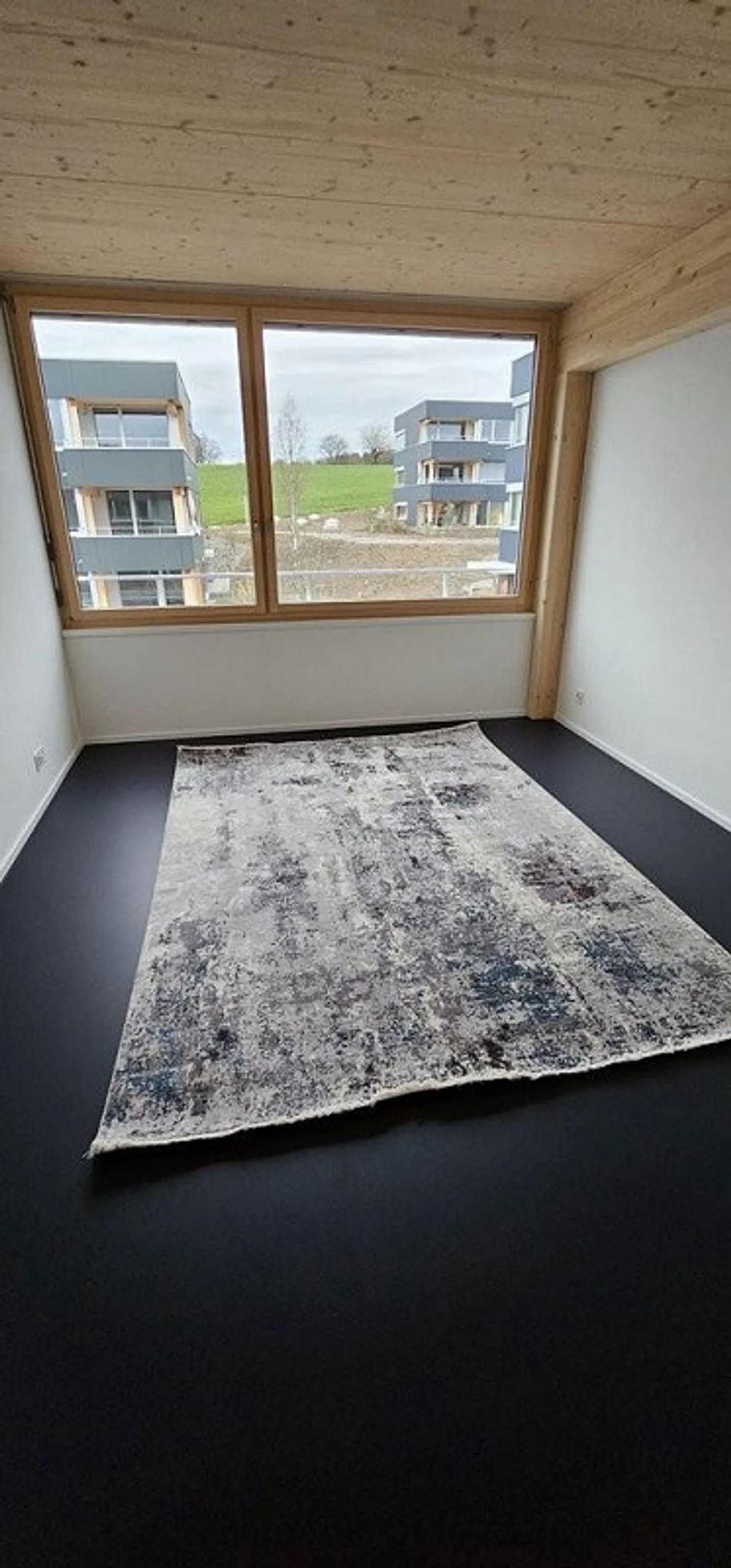 Modernes Apartment in Birmensdorf - Foto 3 von 5