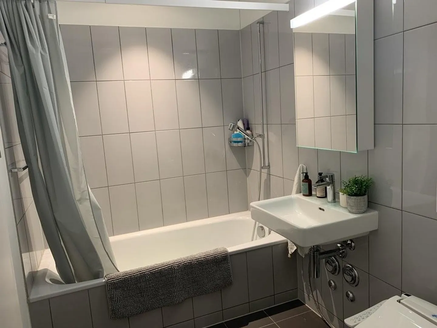 Appartement 4.5 pièces à Uitikon - conçu pour les individualistes - Photo 6 sur 12