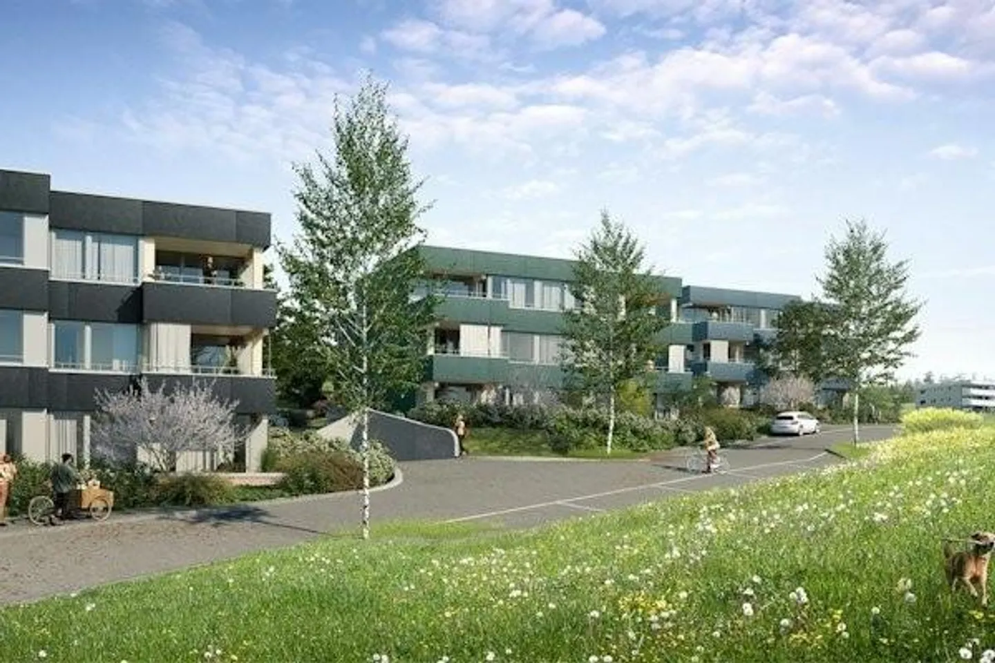 Modernes Apartment in Birmensdorf - Foto 1 von 7