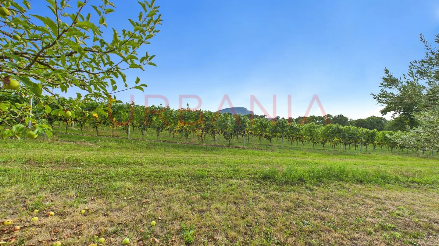 Villa 10 Zimmer - Foto 6 von 6