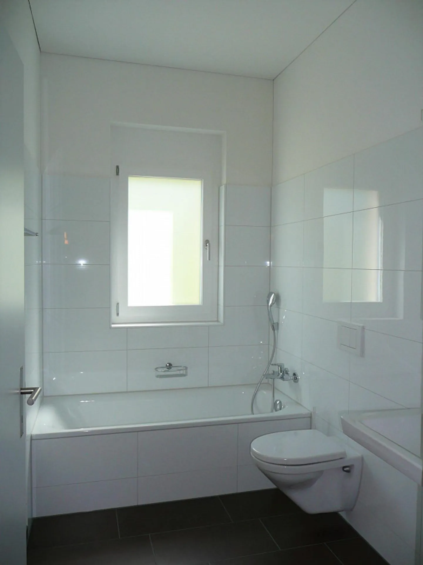 Modern and Sunny 4.5-Room Apartment - Photo 4 of 7