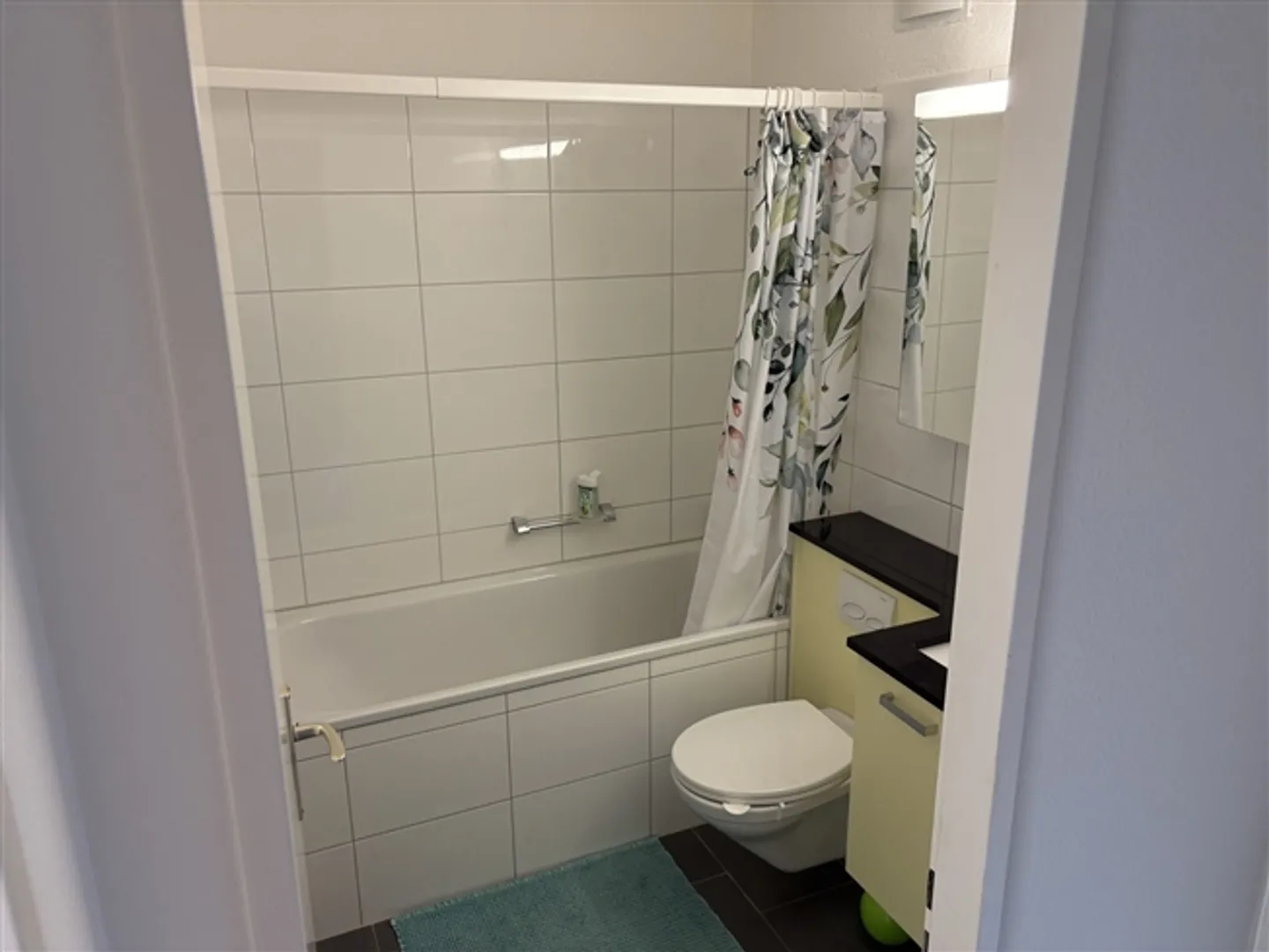 "2½ ROOM APARTMENT IN WÄDENSWIL (ZH), FURNISHED, TEMPORARY" - Photo 8 of 10