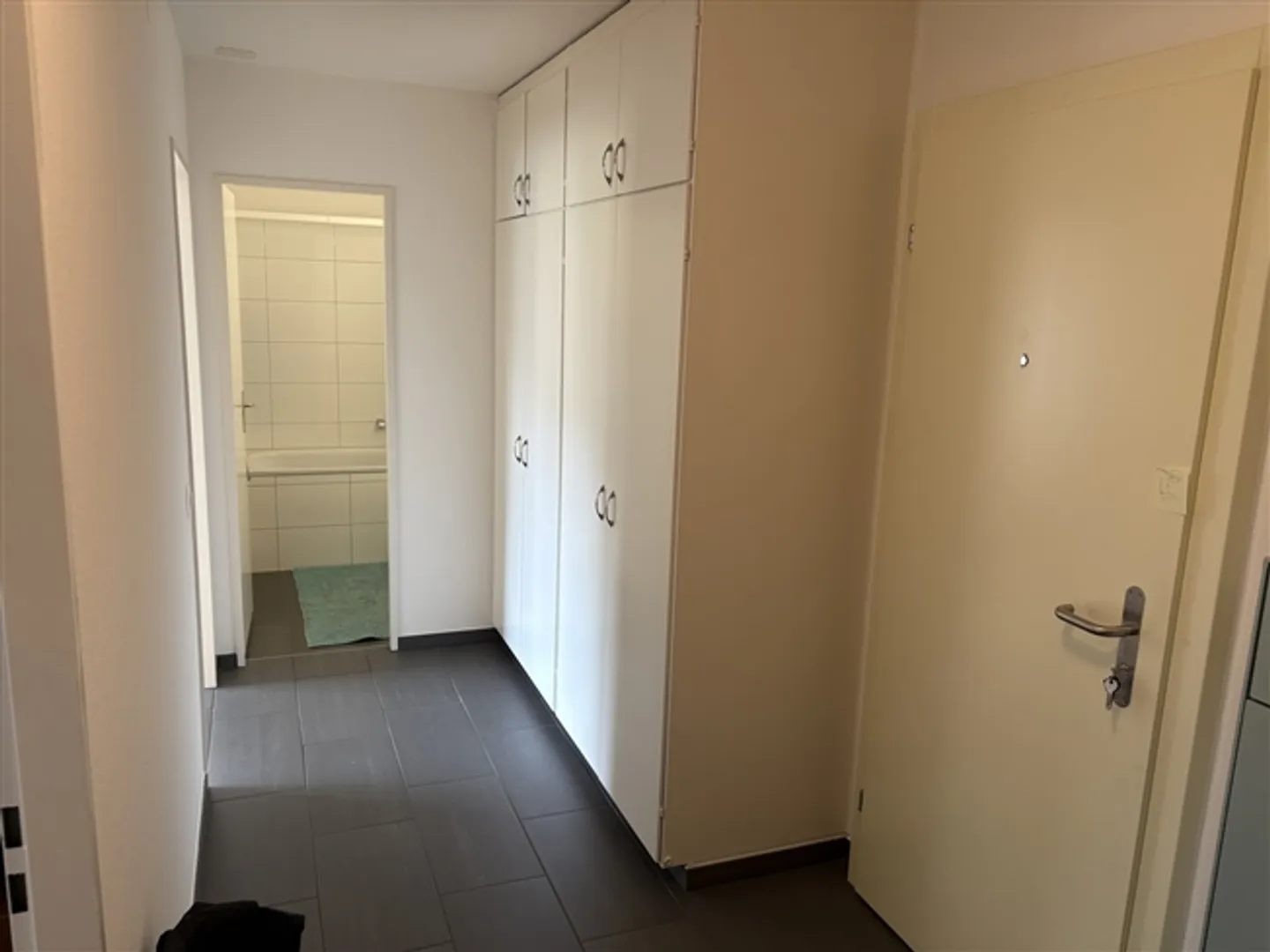 "2½ ROOM APARTMENT IN WÄDENSWIL (ZH), FURNISHED, TEMPORARY" - Photo 9 of 10