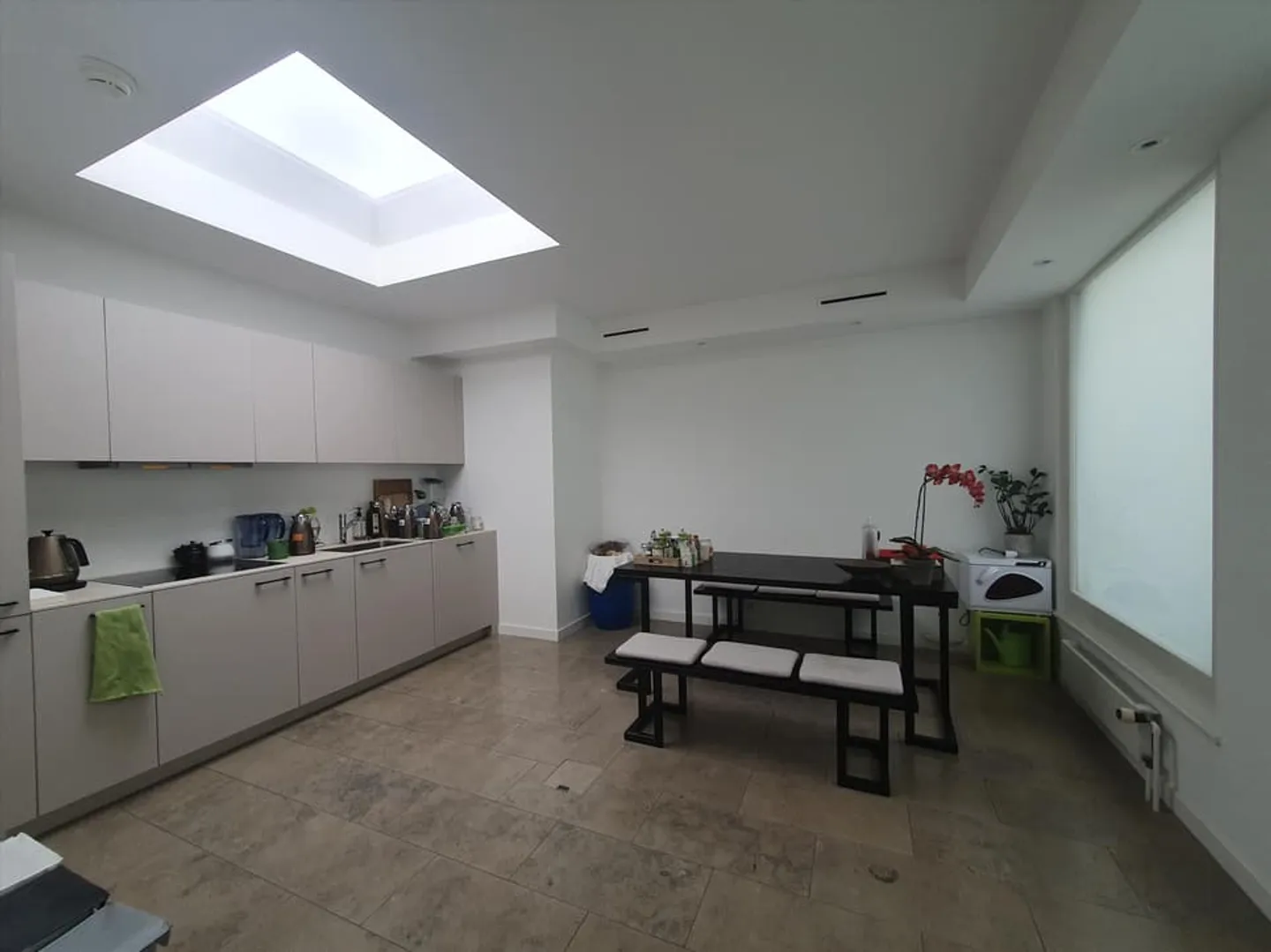 Professional surface of 401 m2 - Photo 2 of 13