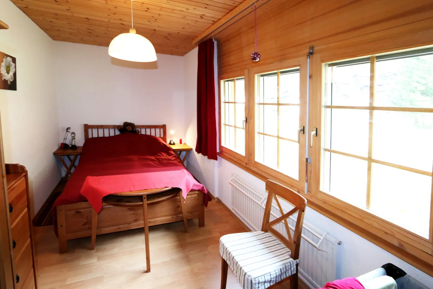 Paloma - Photo 4 sur 16