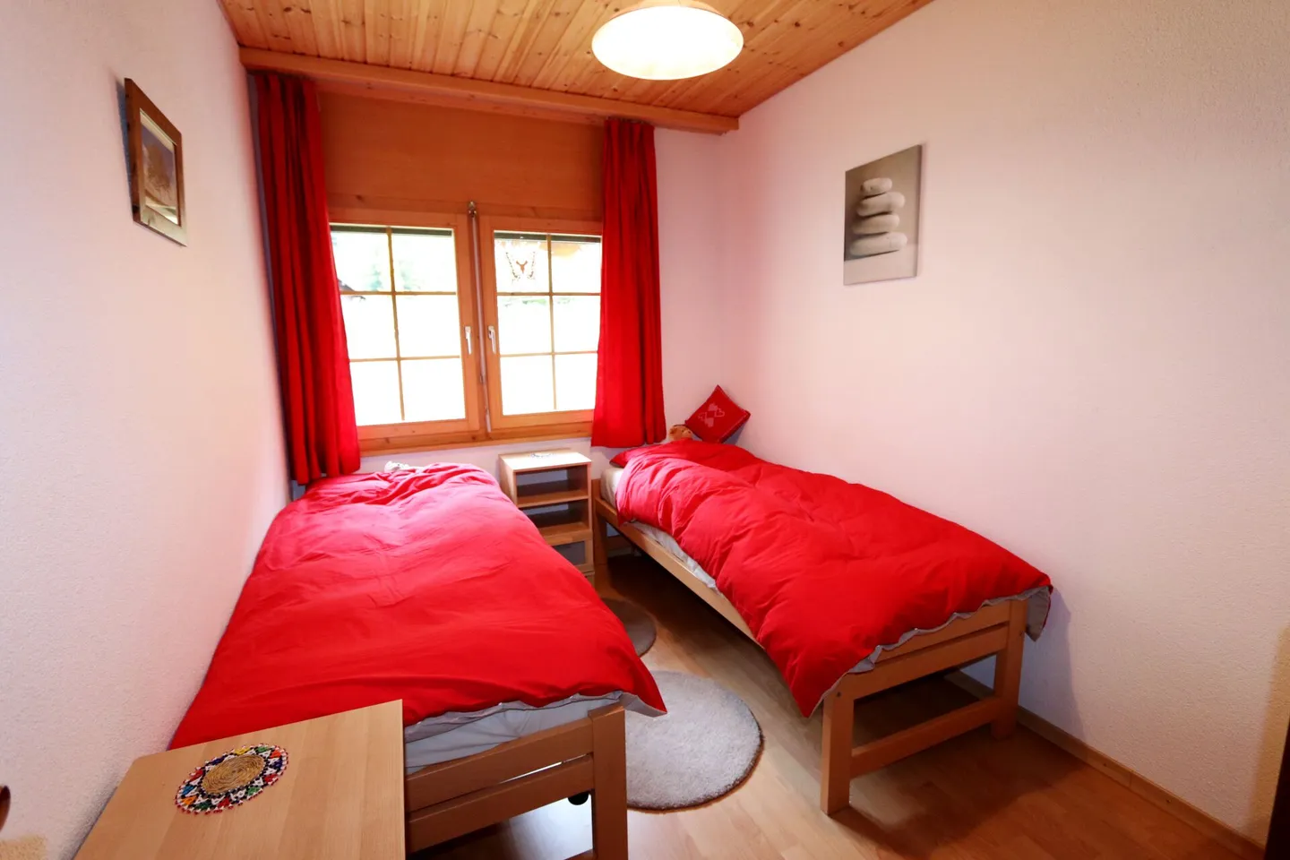 Paloma - Photo 5 sur 16