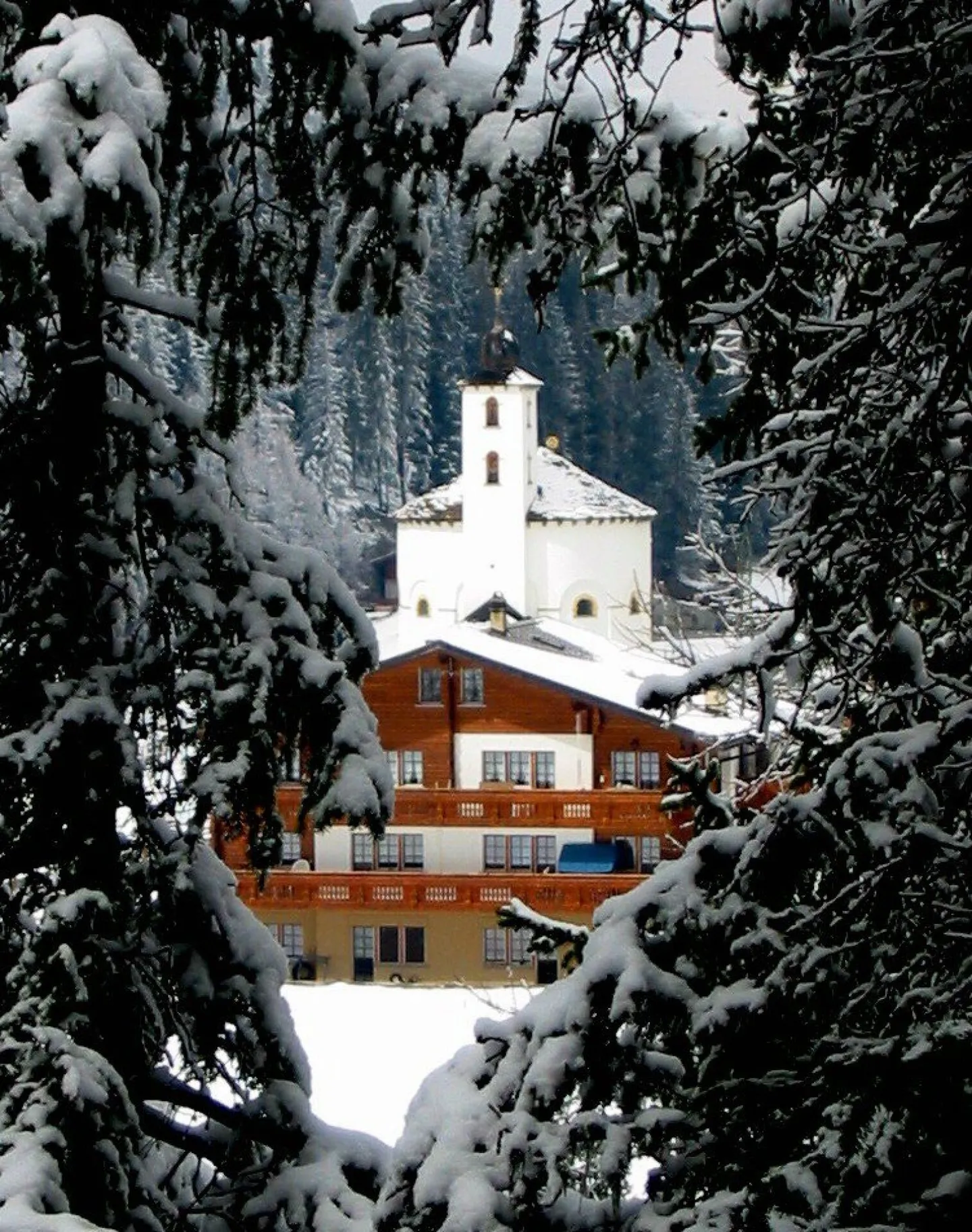 Paloma - Photo 2 sur 16