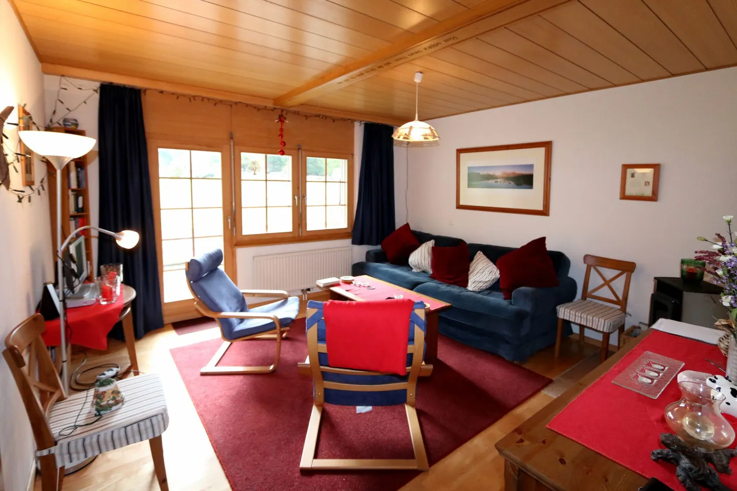 Paloma - Photo 7 sur 16