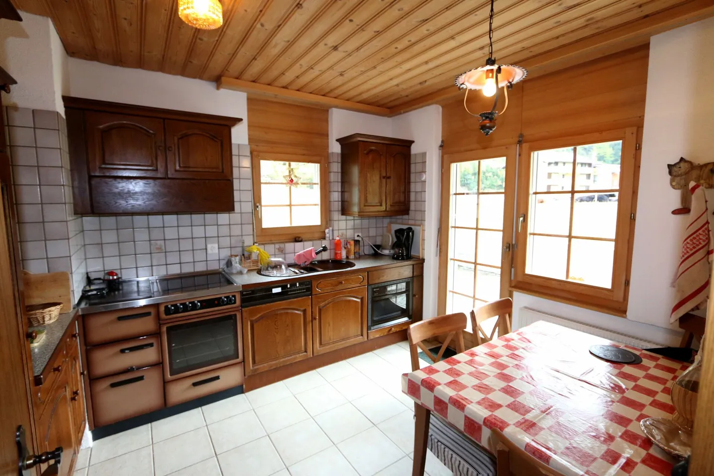 Paloma - Photo 10 sur 16