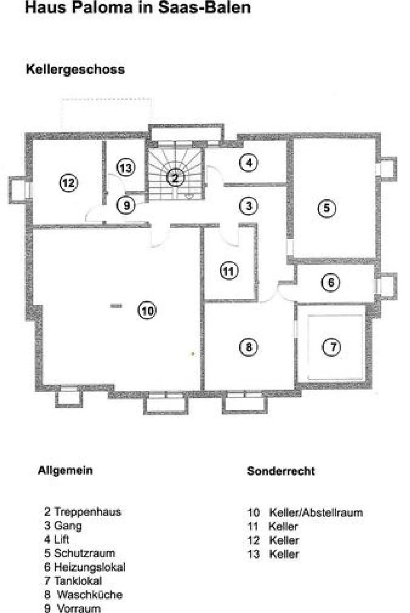 Paloma - Photo 12 sur 16