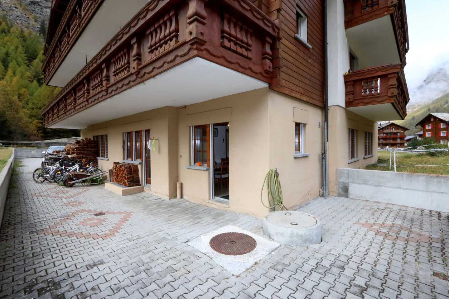 Paloma - Photo 14 sur 16