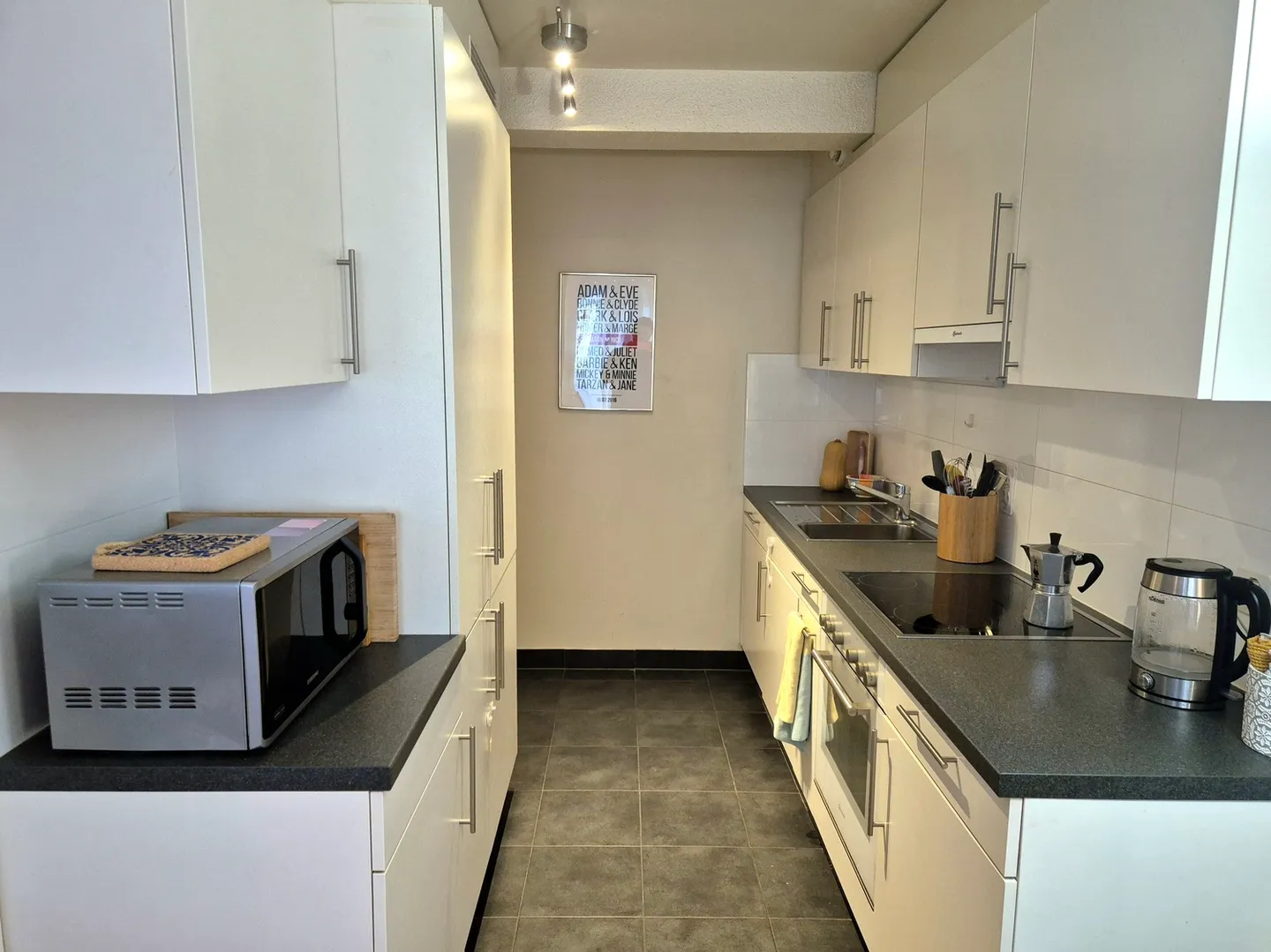 4-ROOM APARTMENT IN MEINIER (GE), FURNISHED, FIXED TERM - Photo 2 of 6