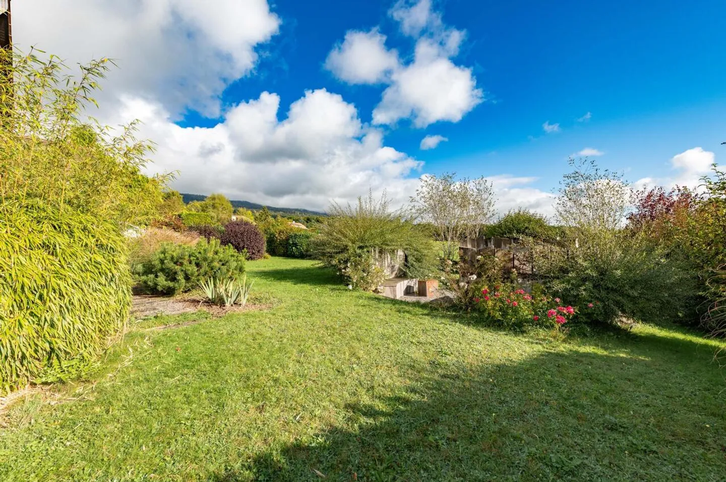 Semi-detached villa with 5.5 rooms, beautifully landscaped garden - Photo 4 of 13