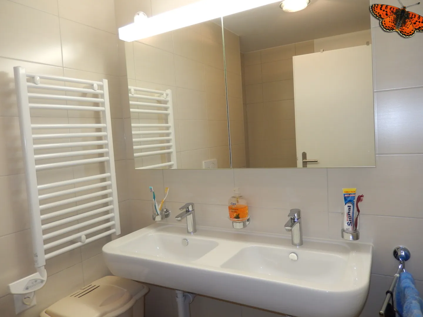 GRANDE APPARTAMENTO DI 4 ½ STANZE - VICINO ALLA STAZIONE! - Foto 7 di 9