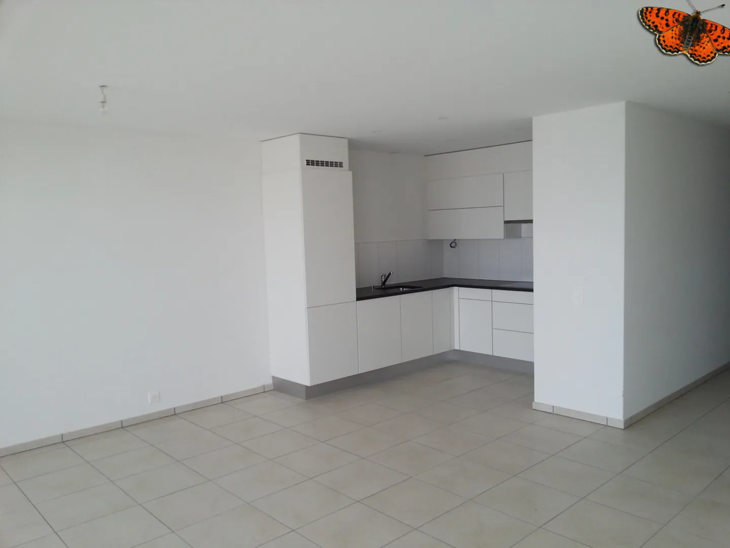 GRANDE APPARTAMENTO DI 4 ½ STANZE - VICINO ALLA STAZIONE! - Foto 5 di 9