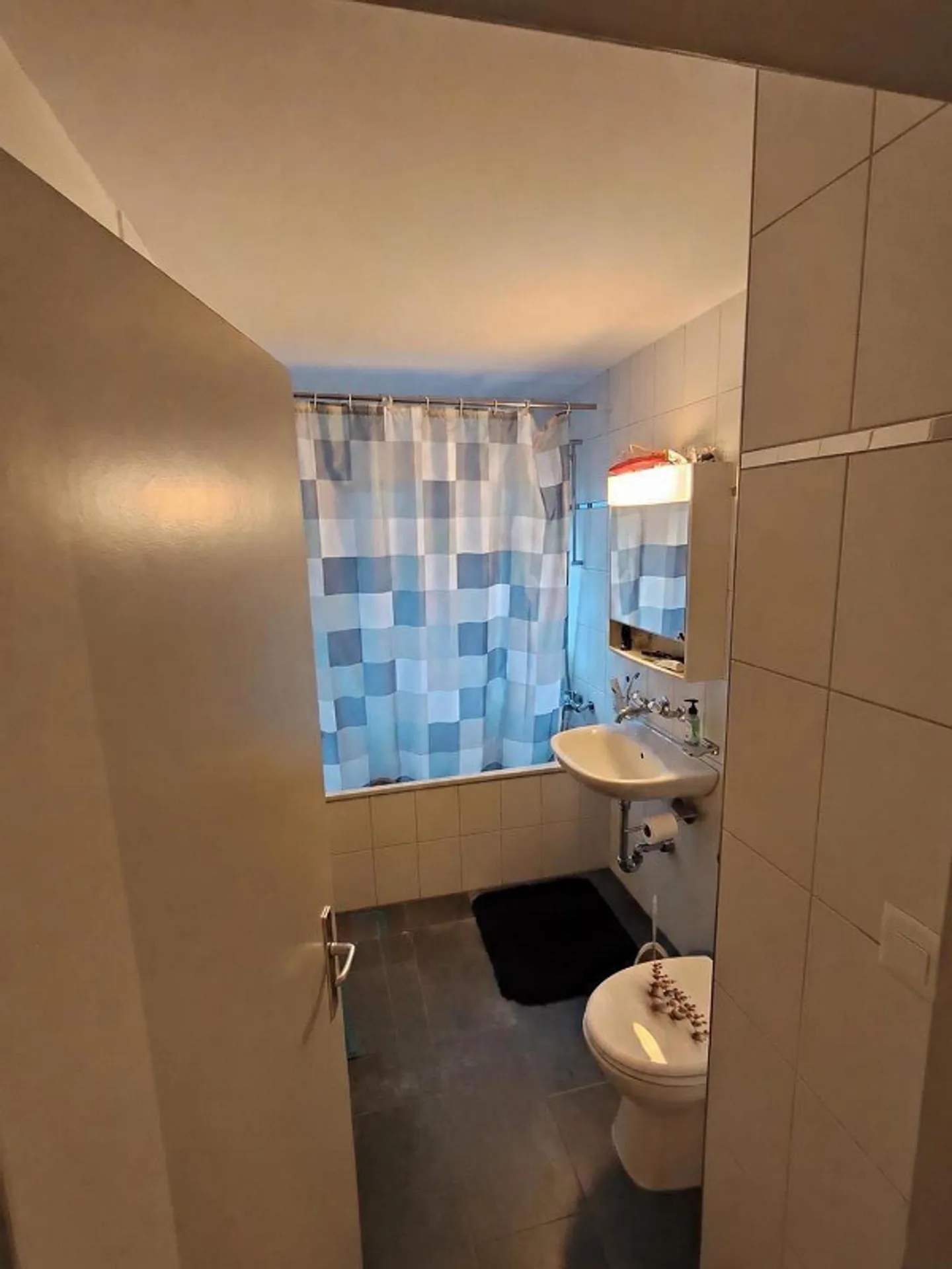 3.5 Room Apartment with Balcony - Photo 2 of 14